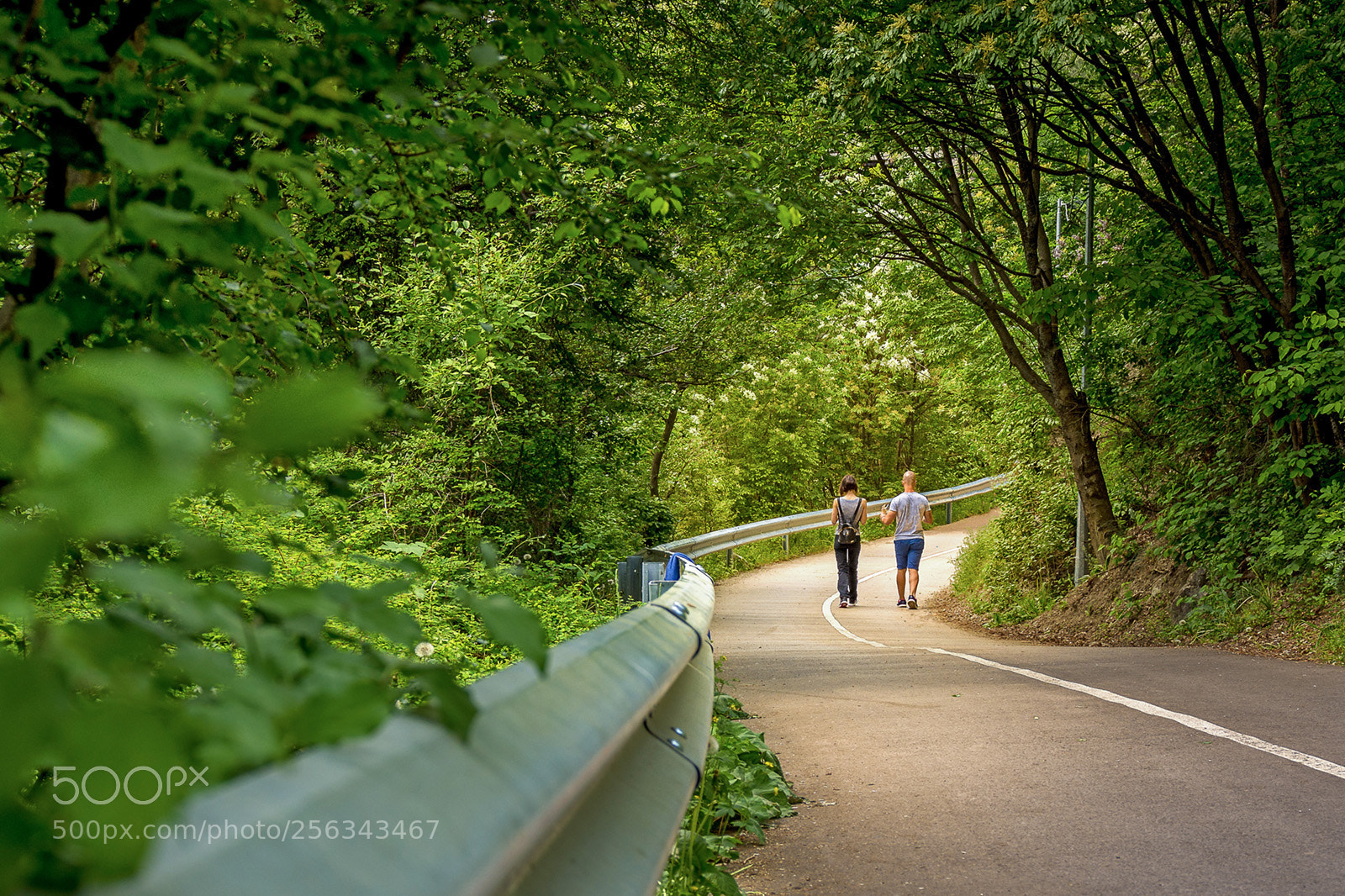 Nikon D7200 sample photo. The walk photography