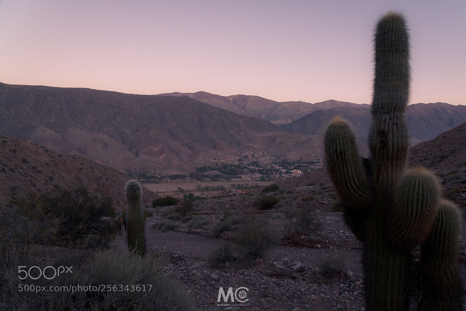 Nikon D610 sample photo. From dusk till dawn photography