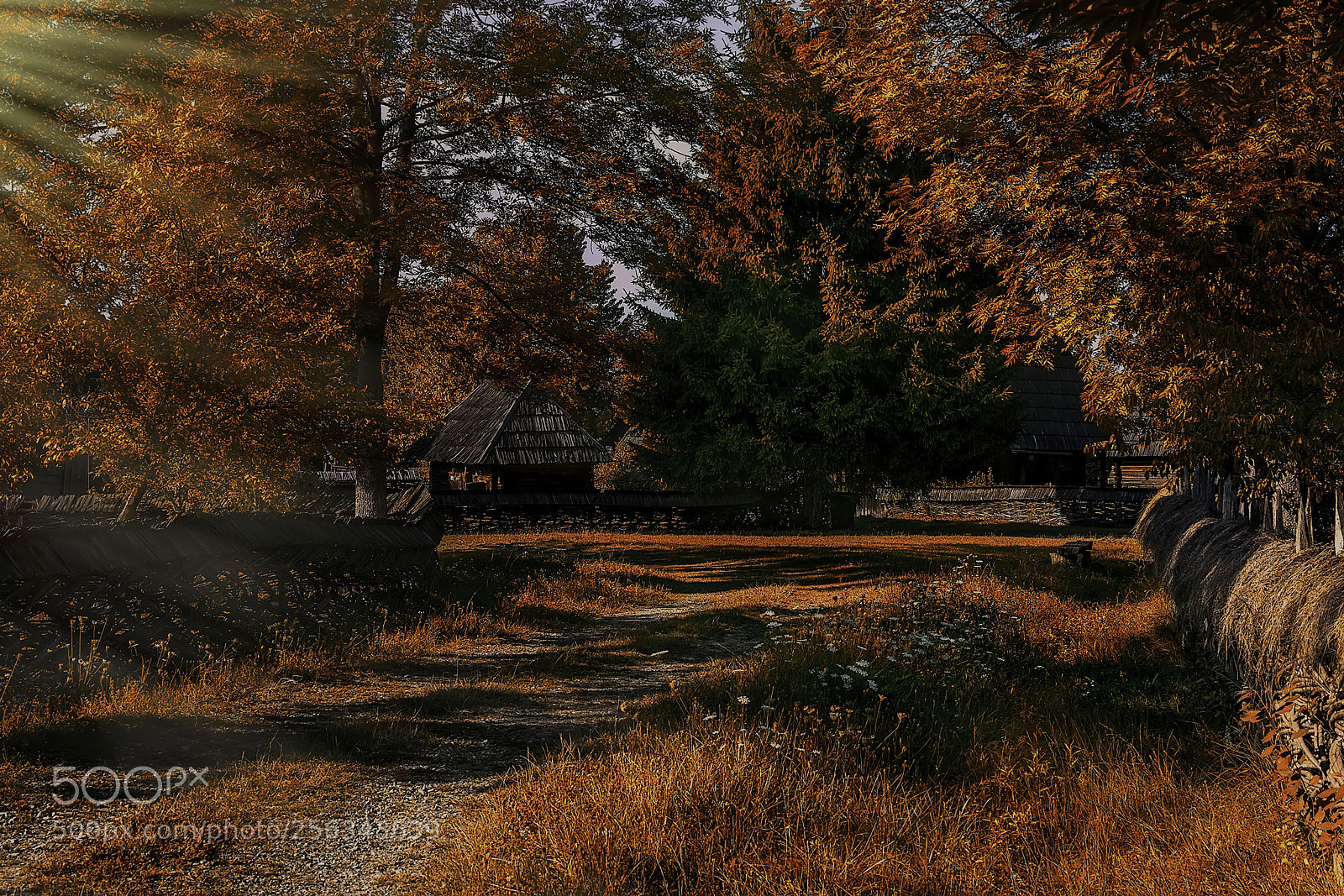Nikon D5300 sample photo. Earthly rhythms photography