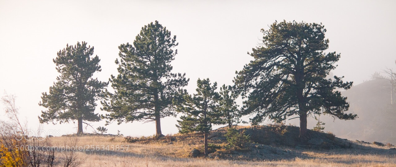 Canon EOS 70D sample photo. Rocky mountain national park photography
