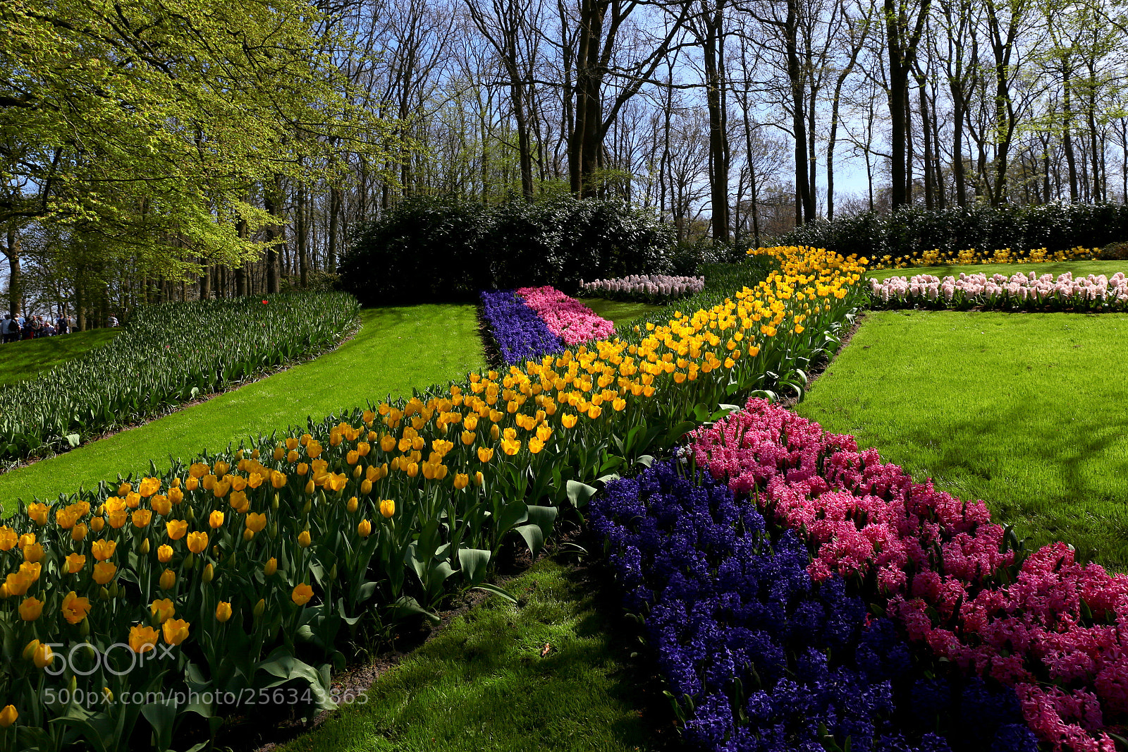 Canon EF 24-70mm F4L IS USM sample photo. Crossings photography