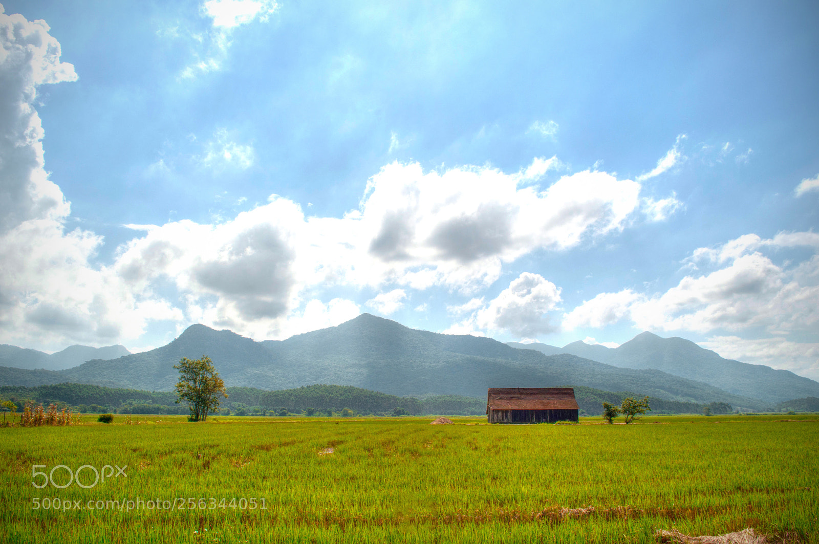 Nikon D5000 sample photo. Country house photography