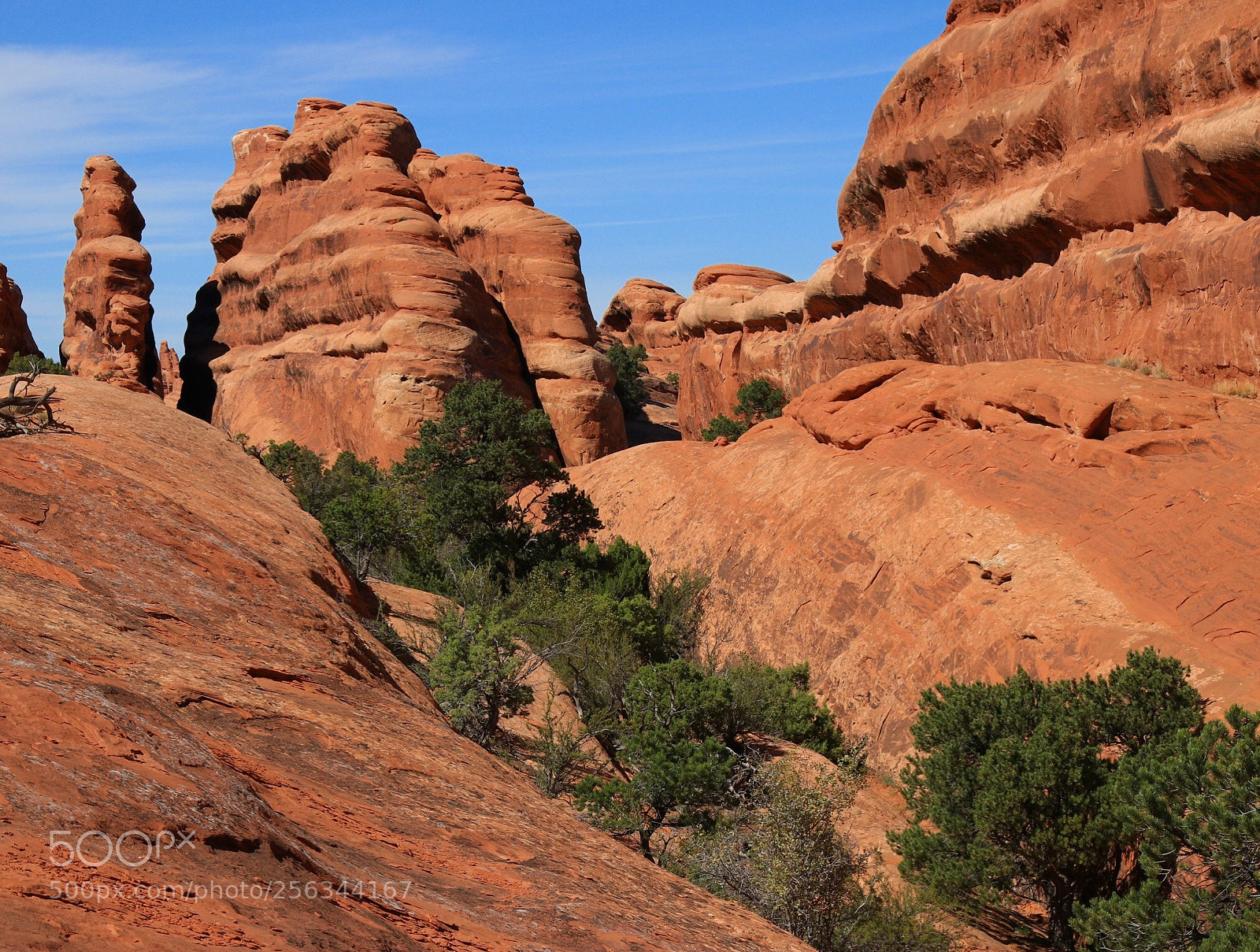 Canon EOS 80D sample photo. Hiking the devil's garden photography