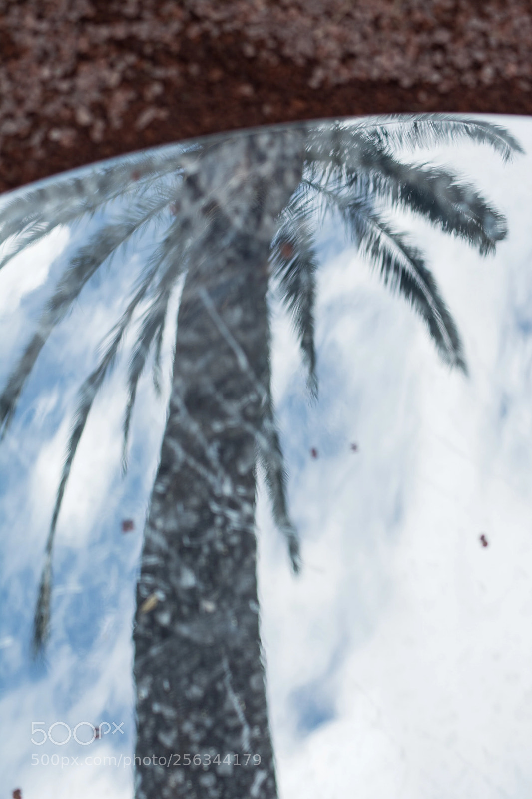 Nikon D5200 sample photo. Reflection of a palm photography