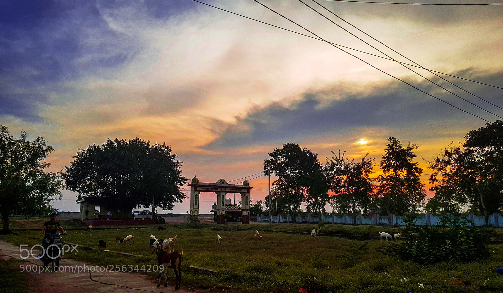 Samsung Galaxy S8 sample photo. India sunsets photography