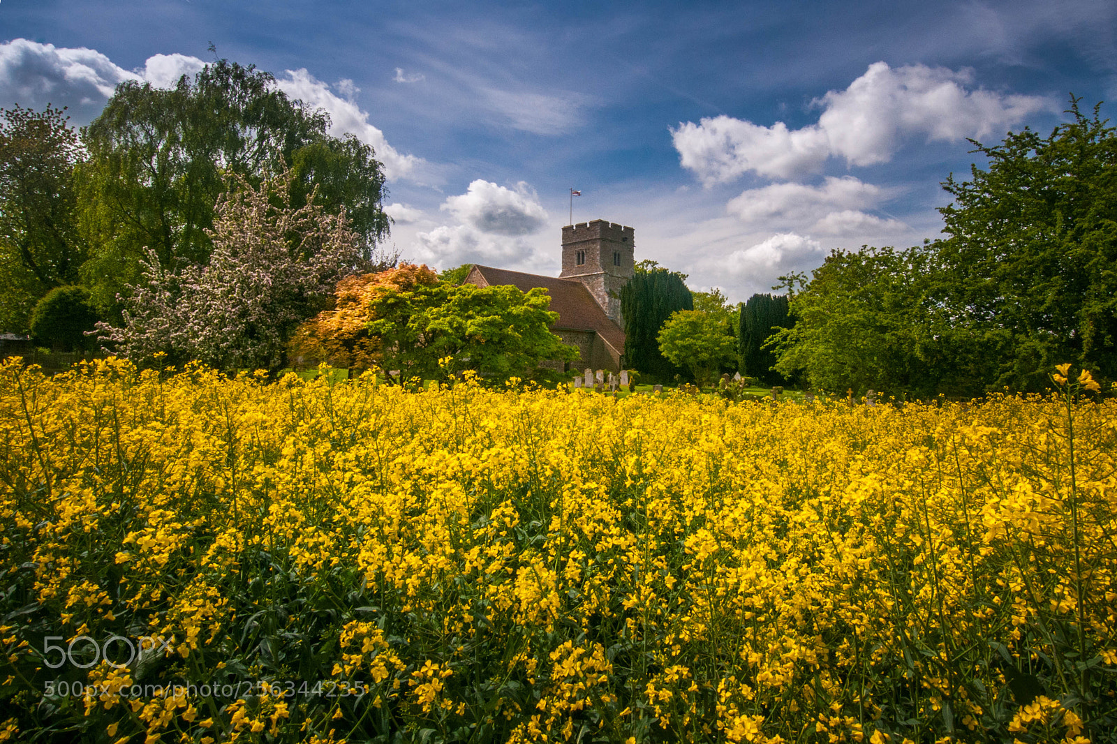 Nikon D300 sample photo. Little baddow church photography
