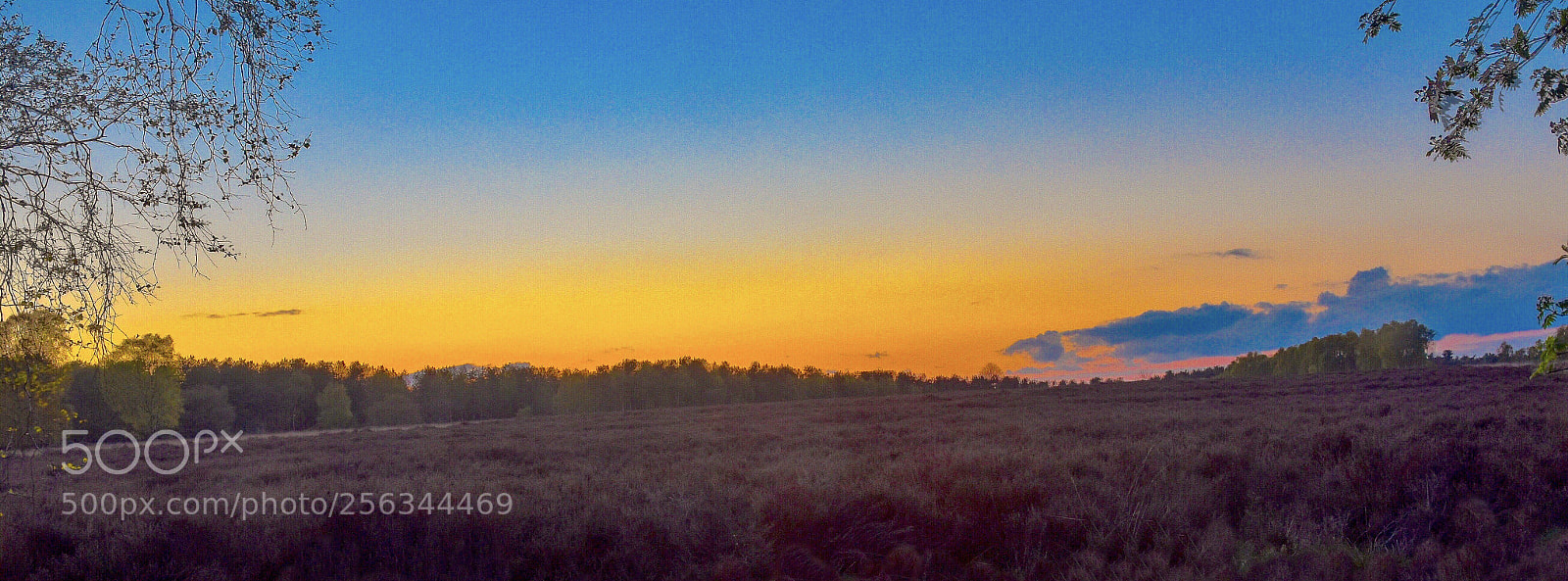 Nikon D7200 sample photo. Setting sun over the photography