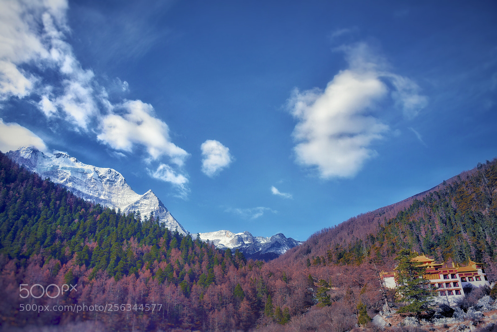 Nikon D810 sample photo. Xiannairi mountain photography