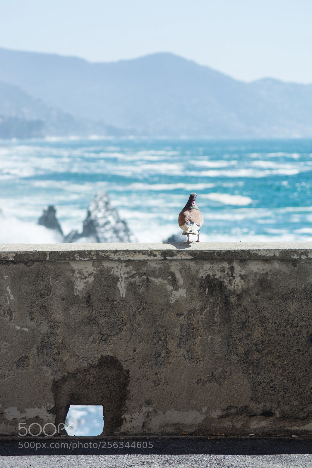 Nikon D5200 sample photo. The sea, the wall photography