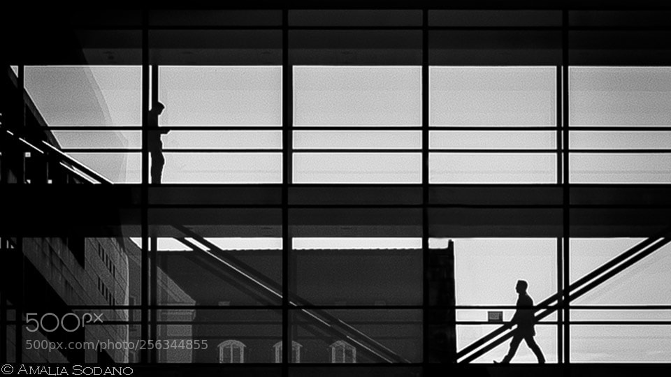 Nikon D610 sample photo. Outline photography