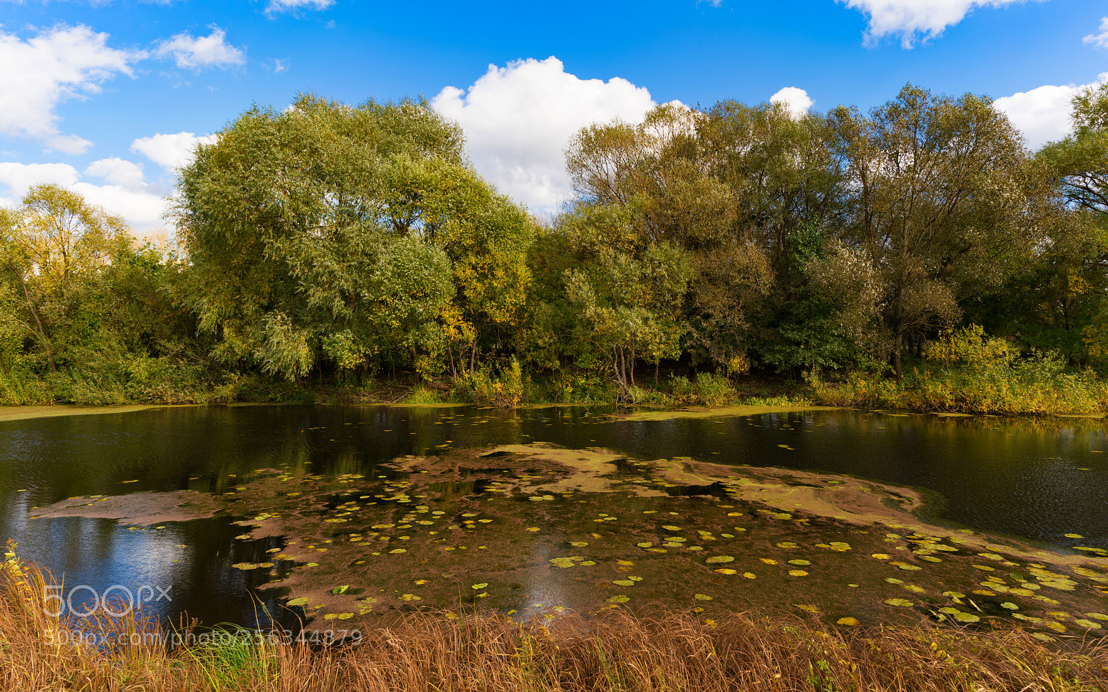 Sony a7R II sample photo. * photography