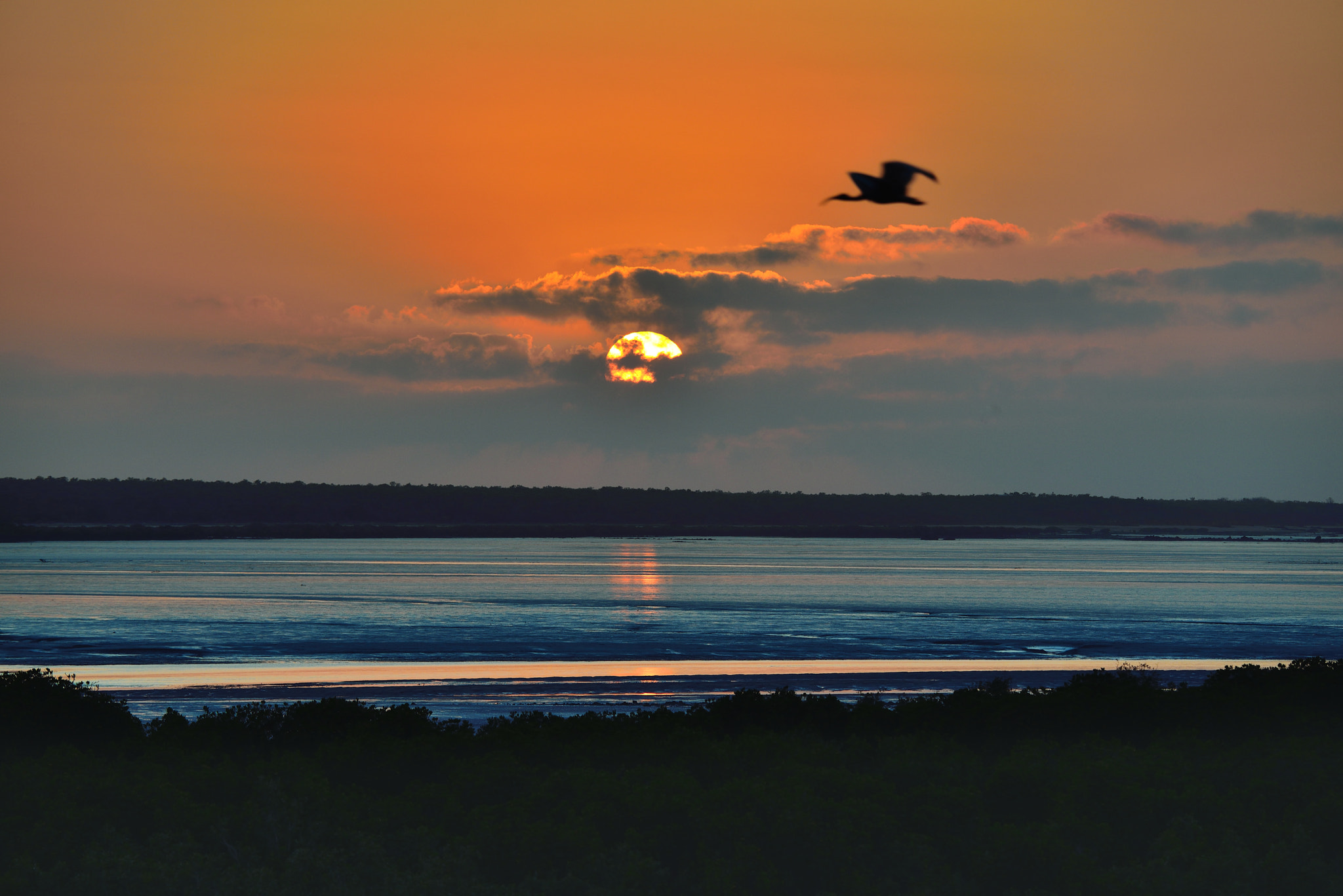 Nikon D800E sample photo. Wake photography