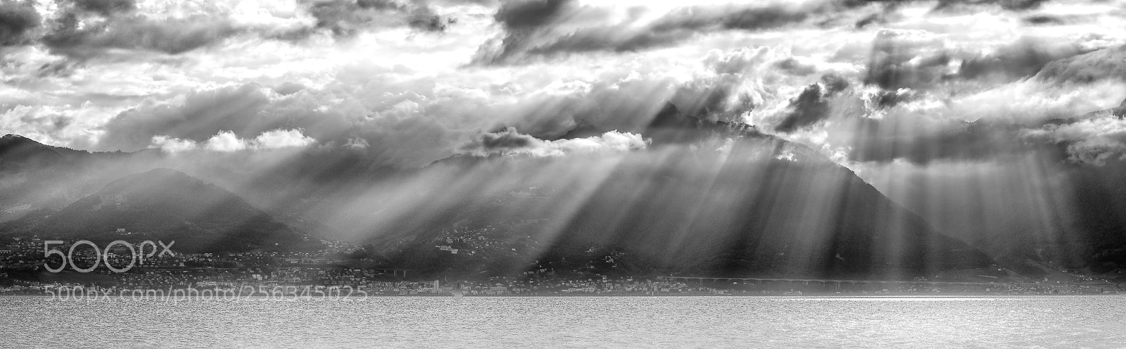 Nikon D810 sample photo. Sunrays photography