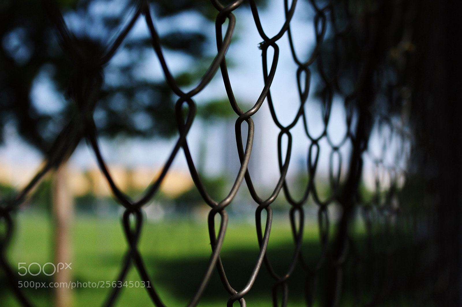 Canon EOS 700D (EOS Rebel T5i / EOS Kiss X7i) sample photo. Ribbons photography