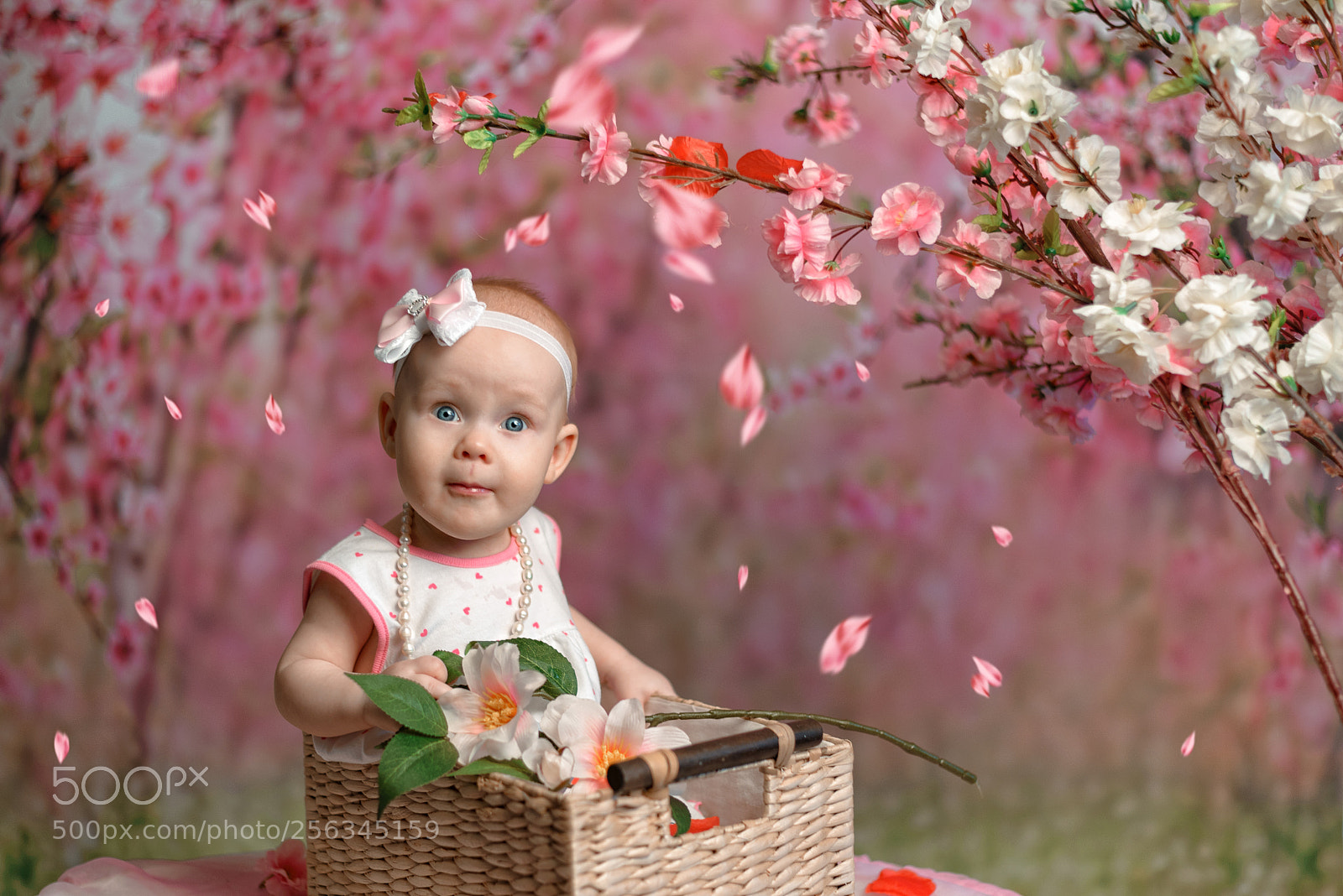 Nikon D610 sample photo. *** photography