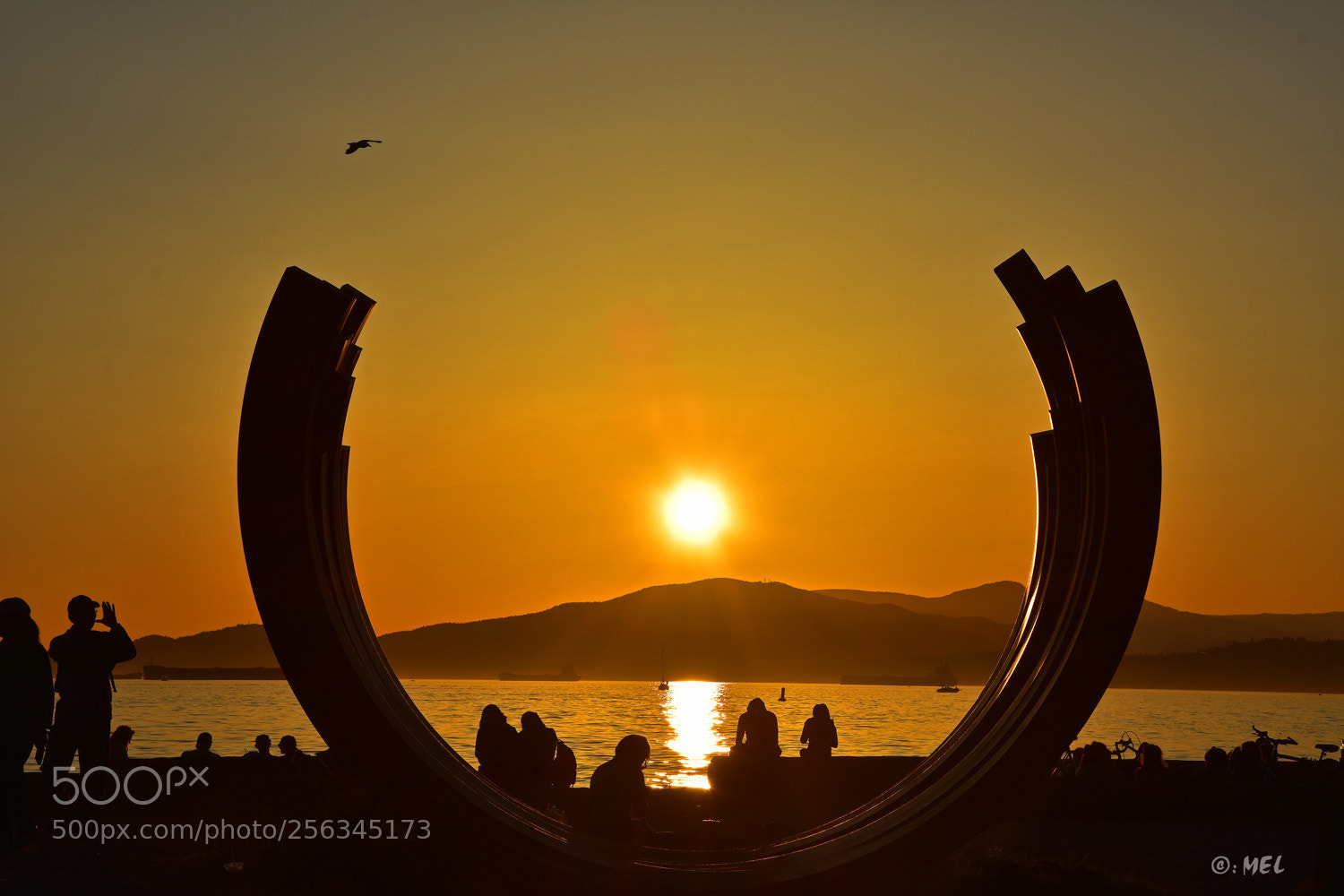 Nikon D7200 sample photo. Whale ribs photography