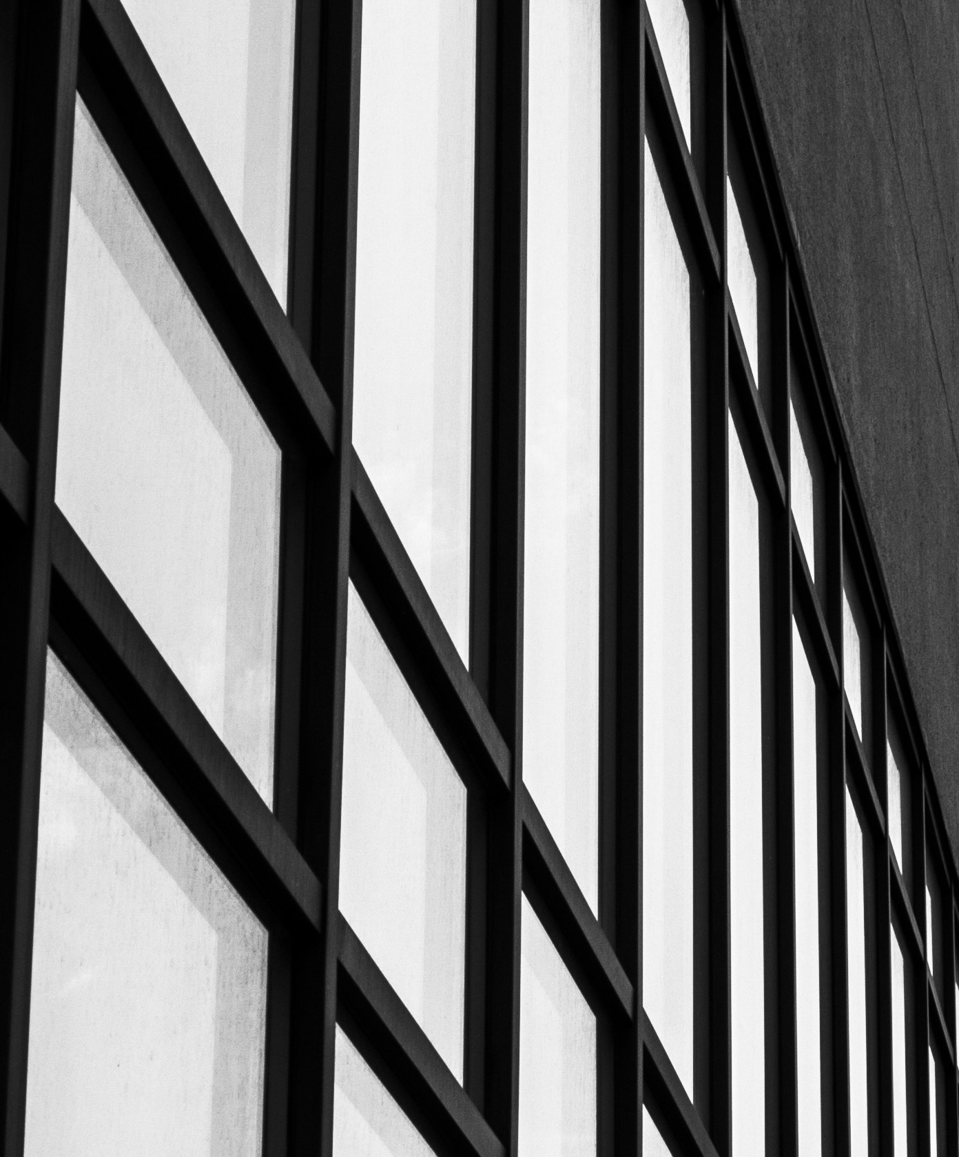 Olympus E-400 (EVOLT E-400) sample photo. Windows photography