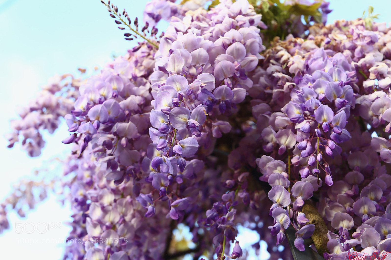 Canon EOS 6D sample photo. Untitled photography