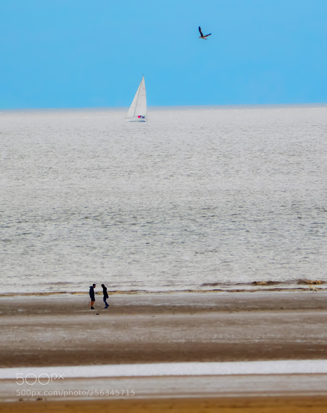 Nikon D3200 sample photo. Untitled photography