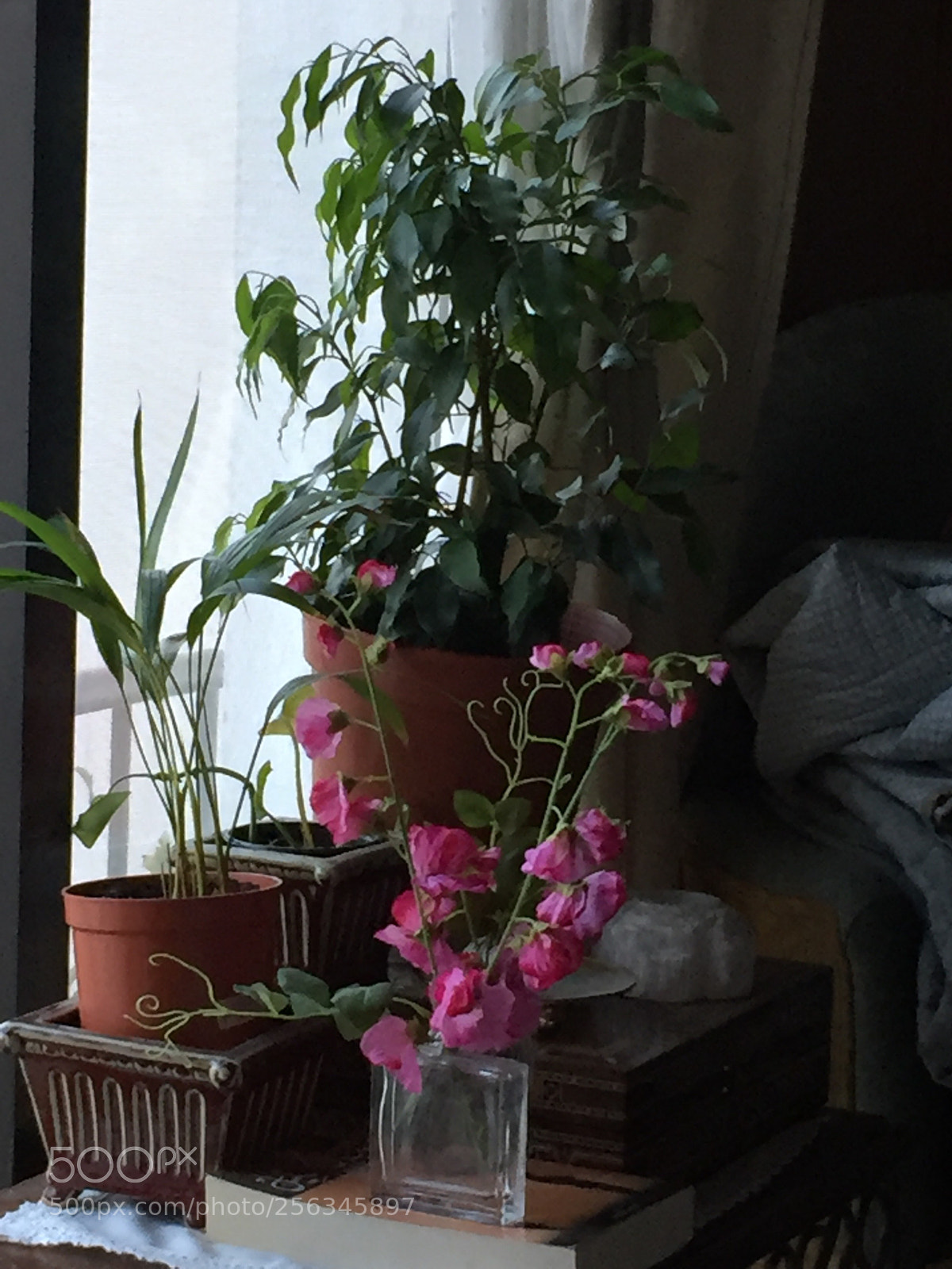 Apple iPhone 6 sample photo. Tranquility  photography