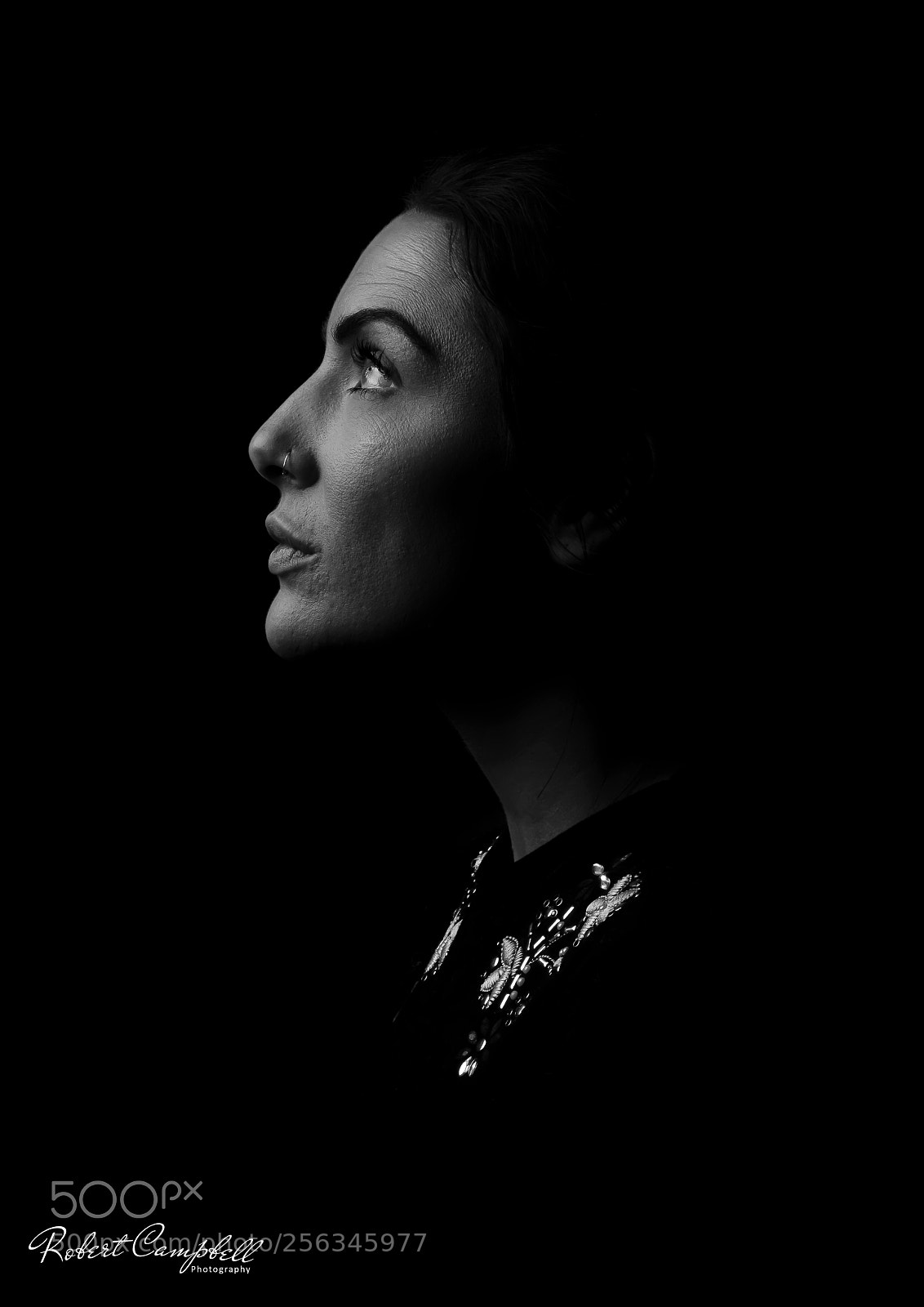 Canon EOS 50D sample photo. The darker side of photography