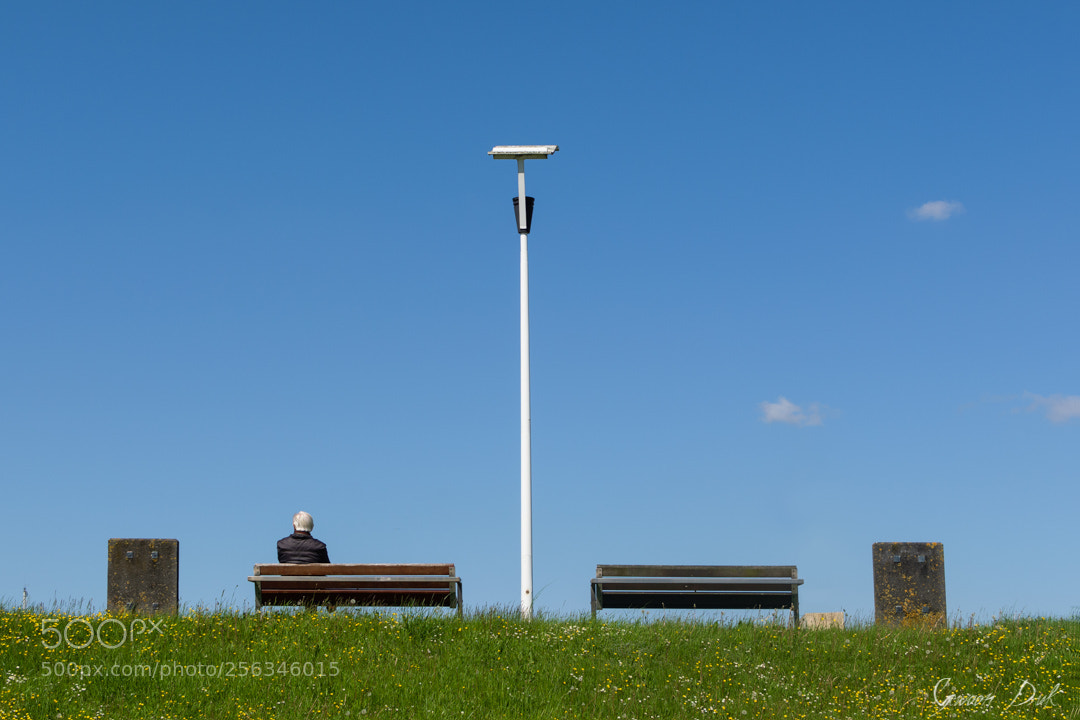 Nikon D5600 sample photo. False symmetry photography