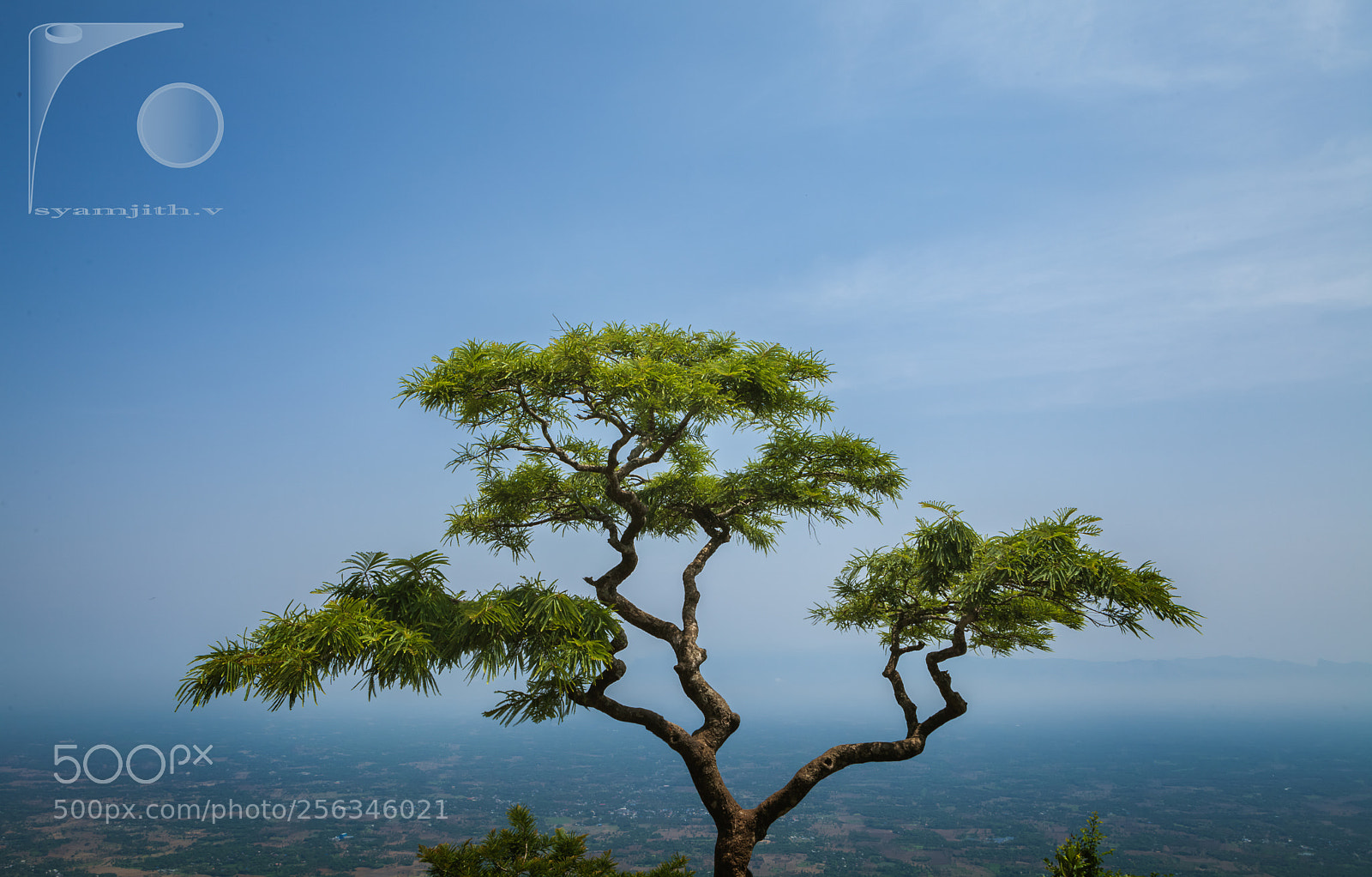 Canon EOS 5D Mark II sample photo. Neliyampathi photography