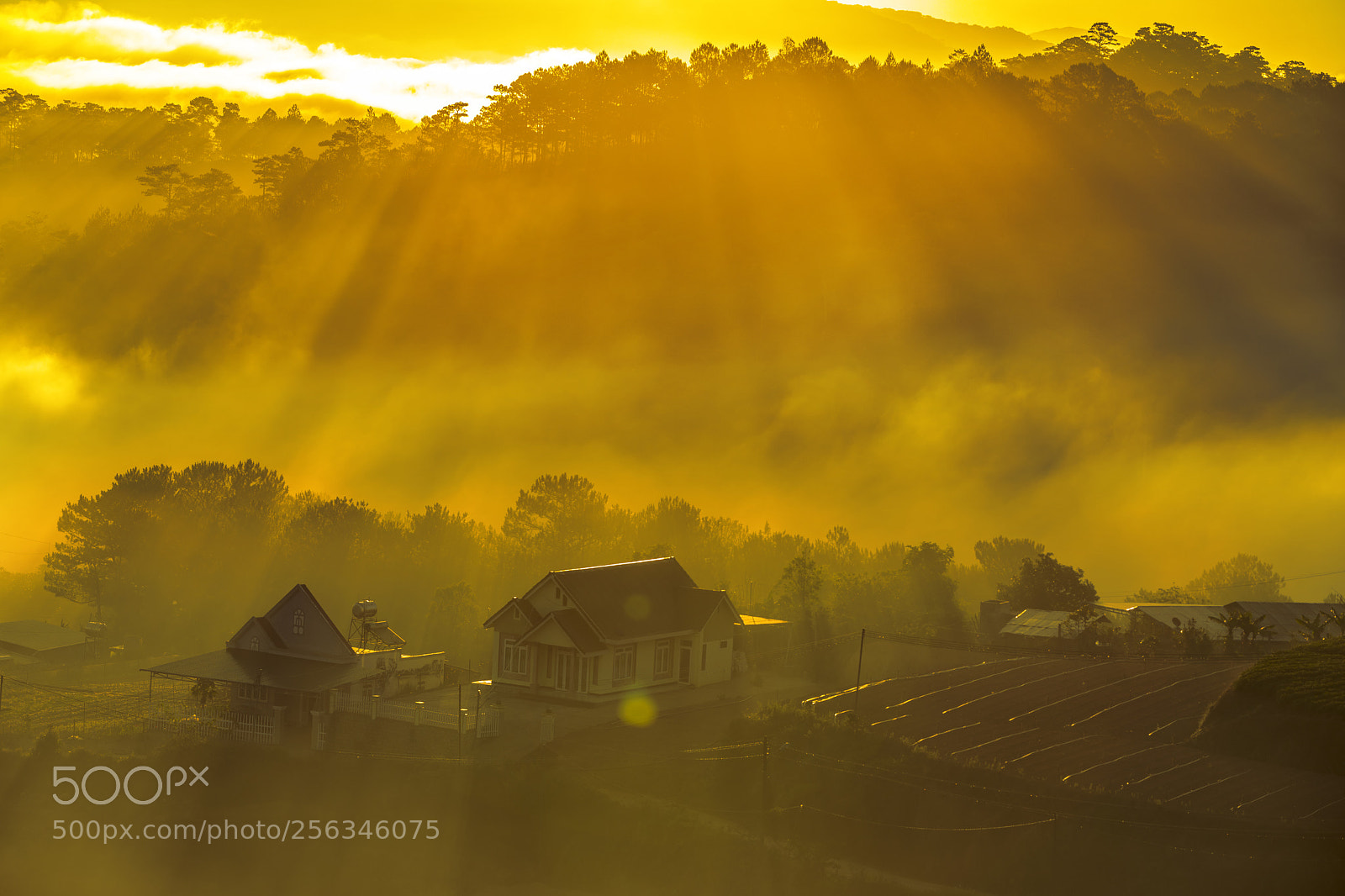 Canon EOS 5D Mark IV sample photo. Sunshine photography