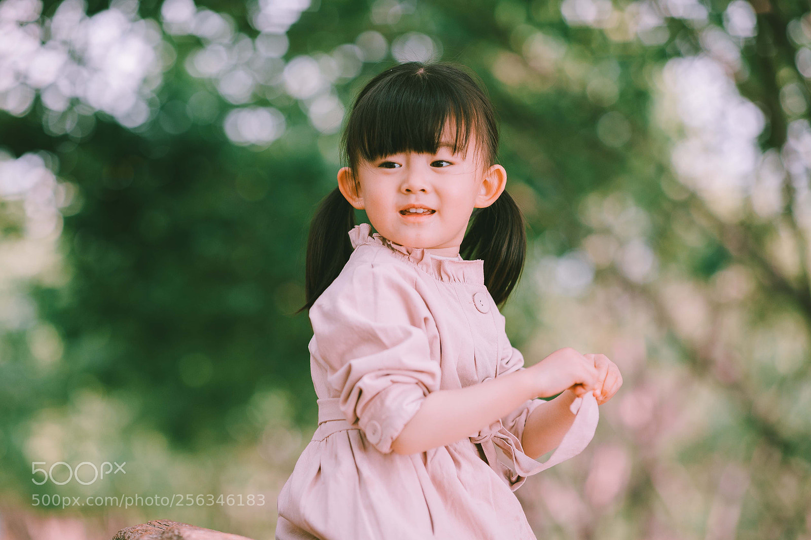 Canon EOS 5D Mark IV sample photo. Untitled photography
