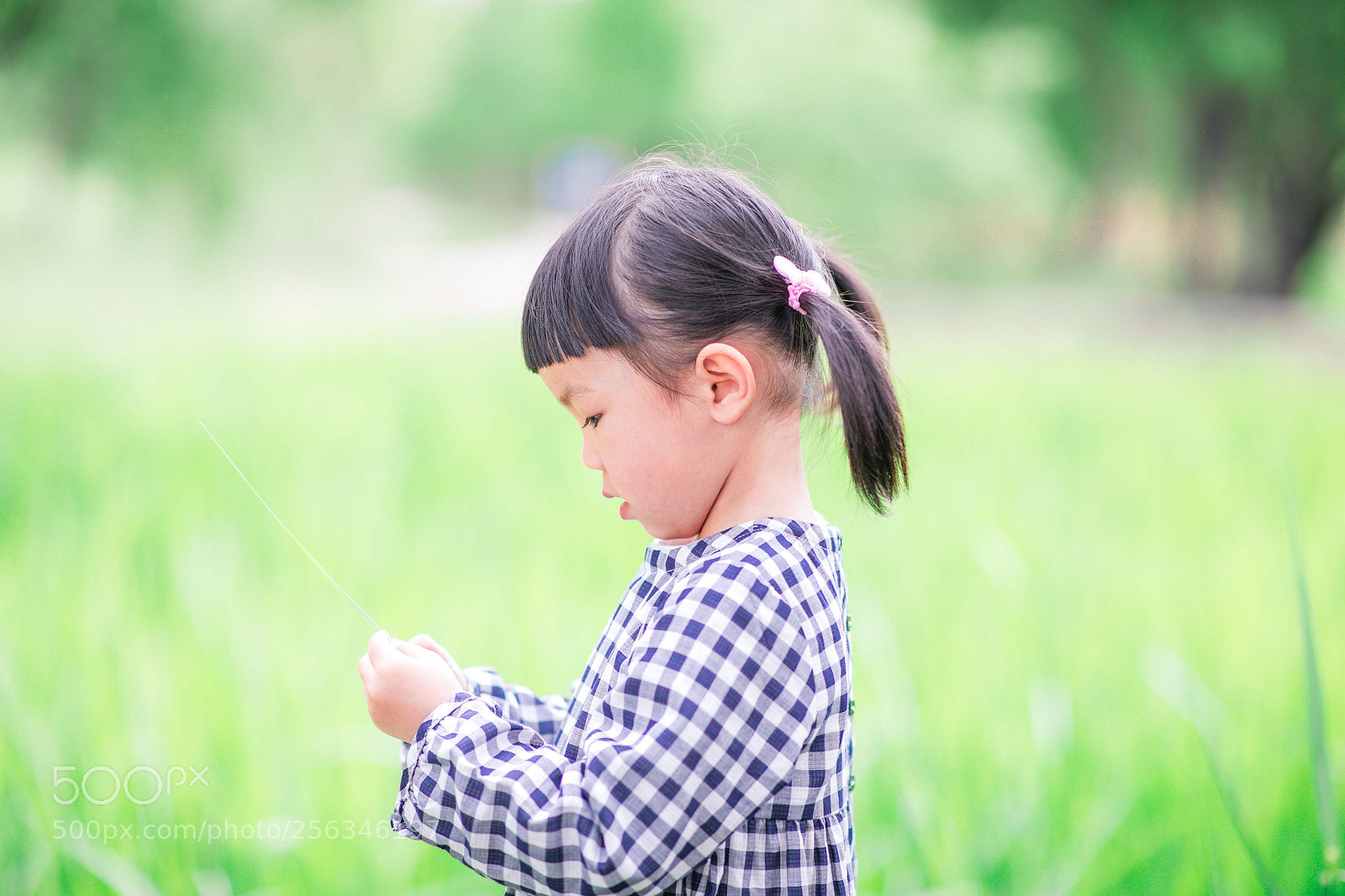Canon EOS 5D Mark IV sample photo. Untitled photography