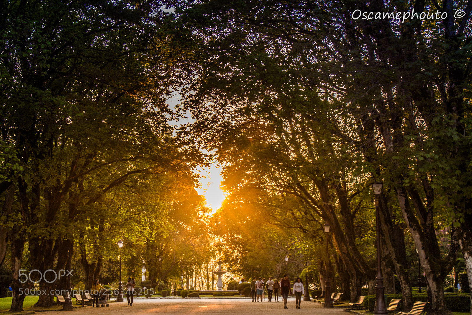 Canon EOS 70D sample photo. Parque rosalia lugo photography
