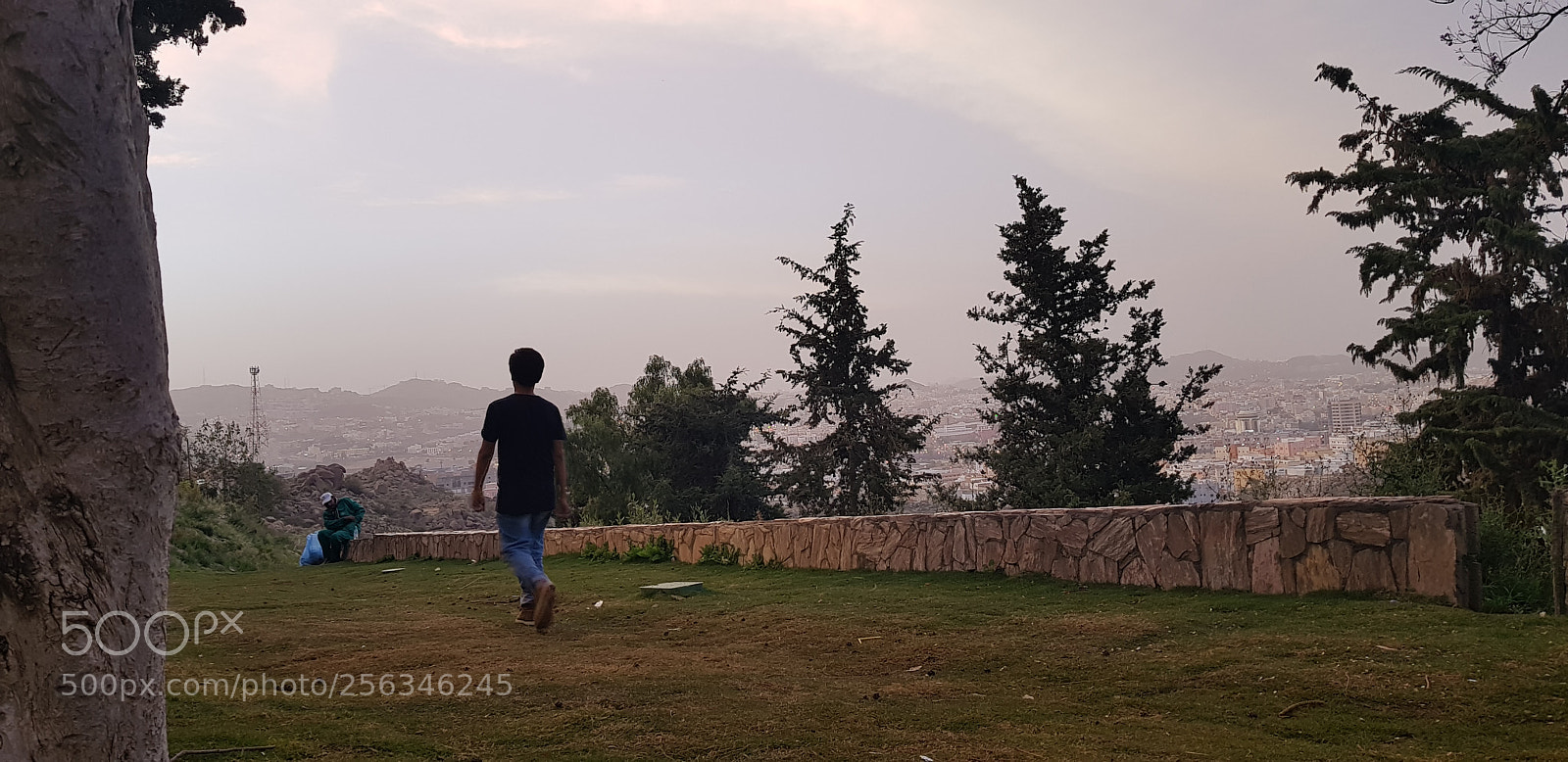 Samsung Galaxy S8+ sample photo. Untitled photography
