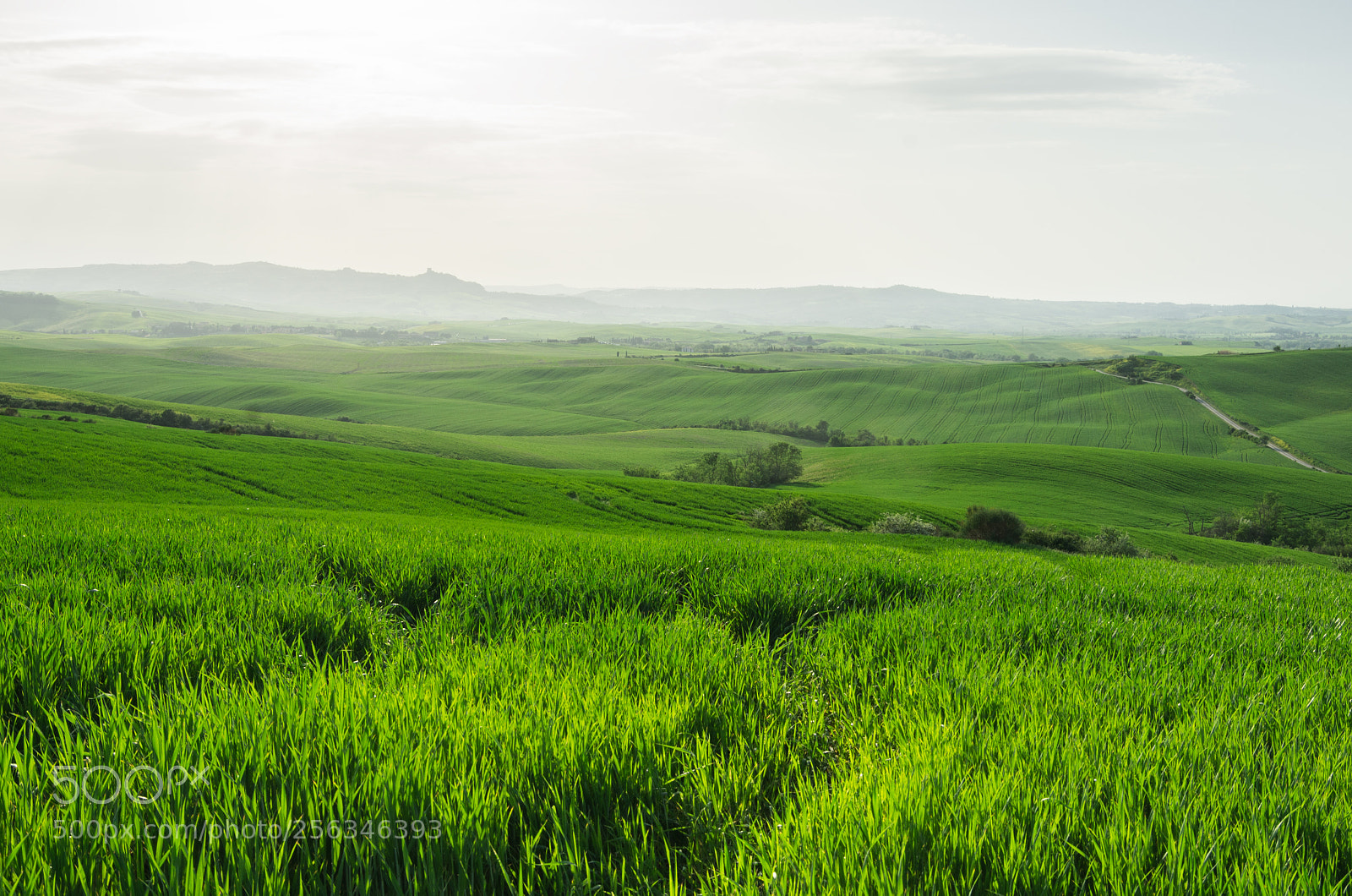 Pentax K-5 sample photo. Val d'orcia - tuscany photography