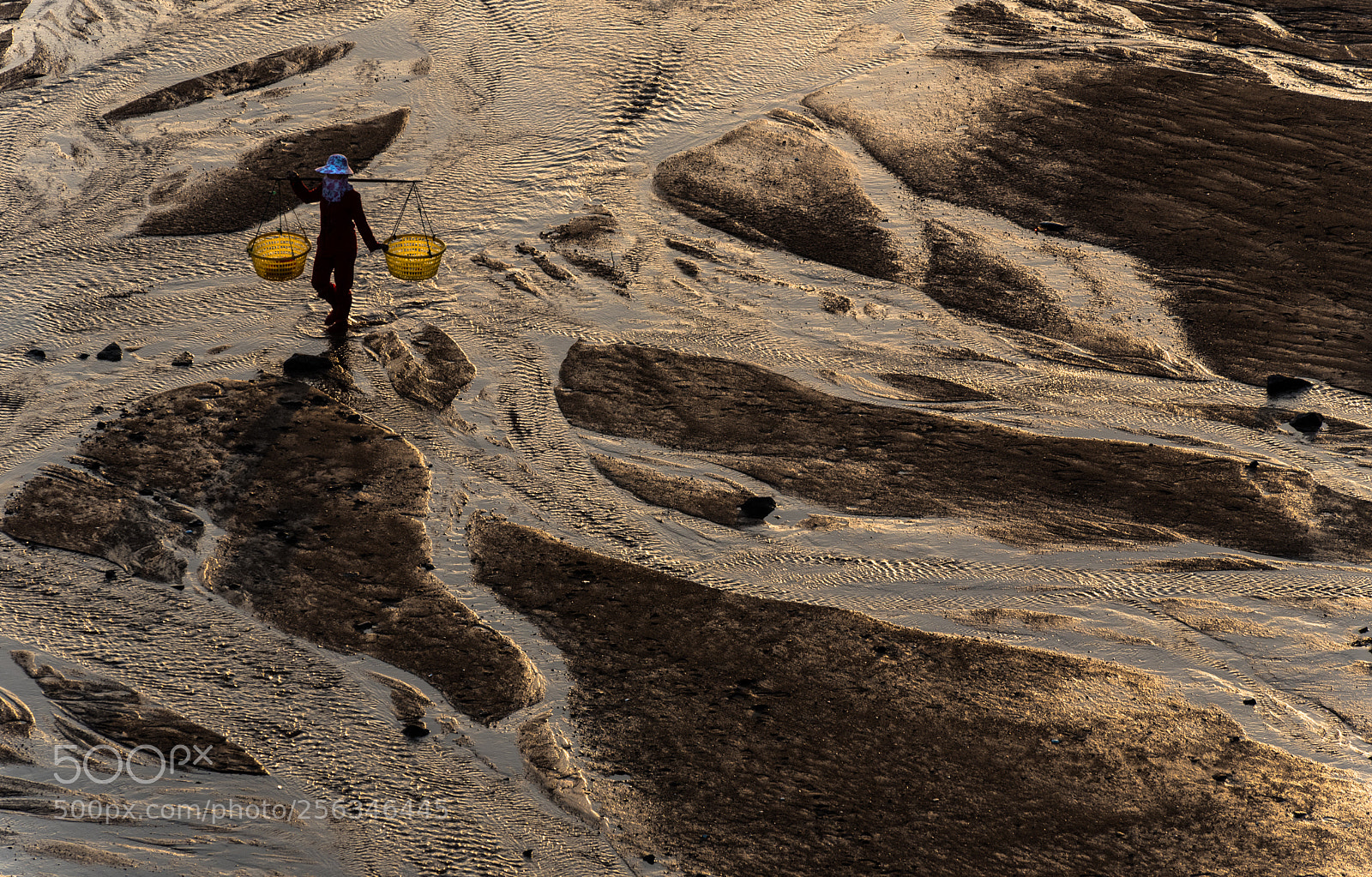 Nikon D750 sample photo. Fisherwoman photography