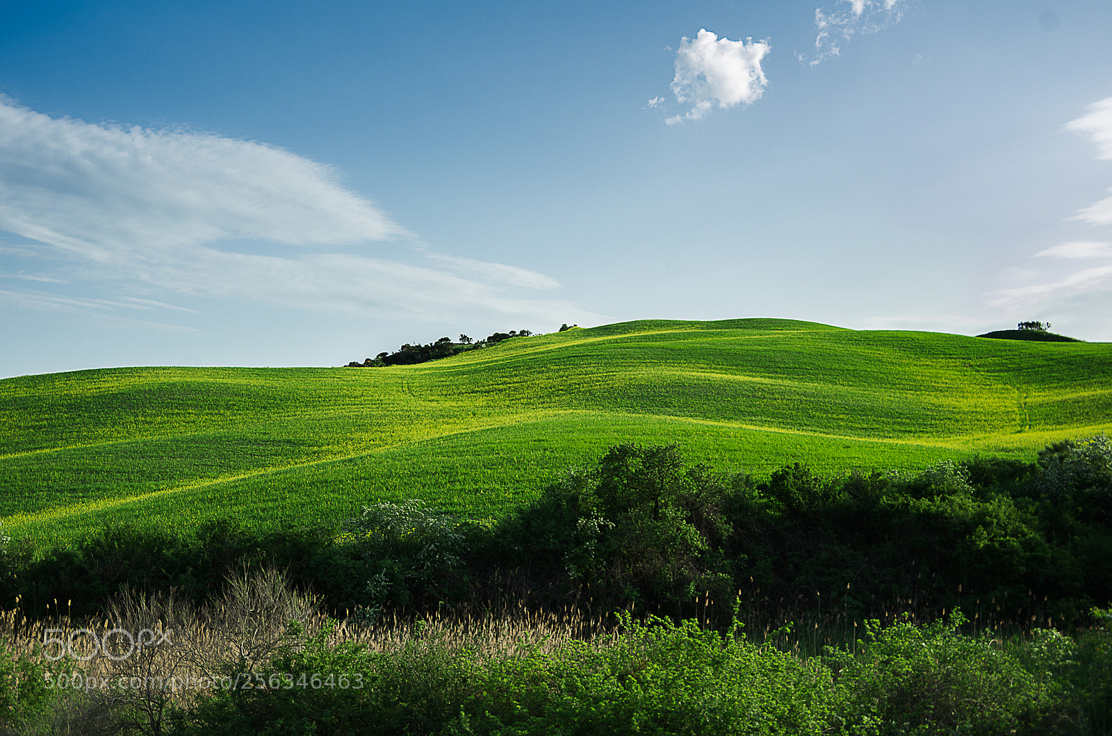 Pentax K-5 sample photo. Val d'orcia - tuscany photography