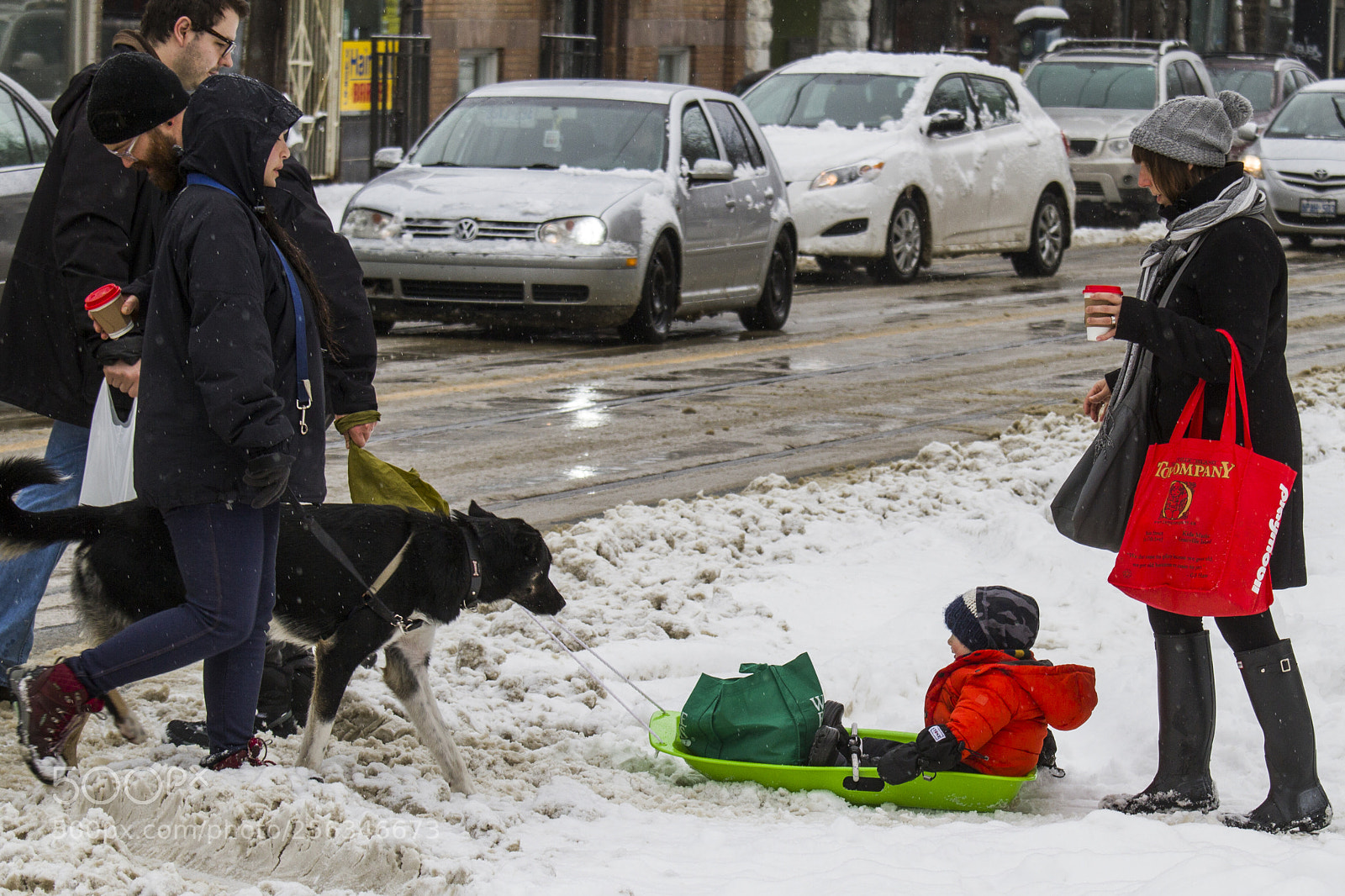 Canon EOS 7D sample photo. Pulling sled in snow photography