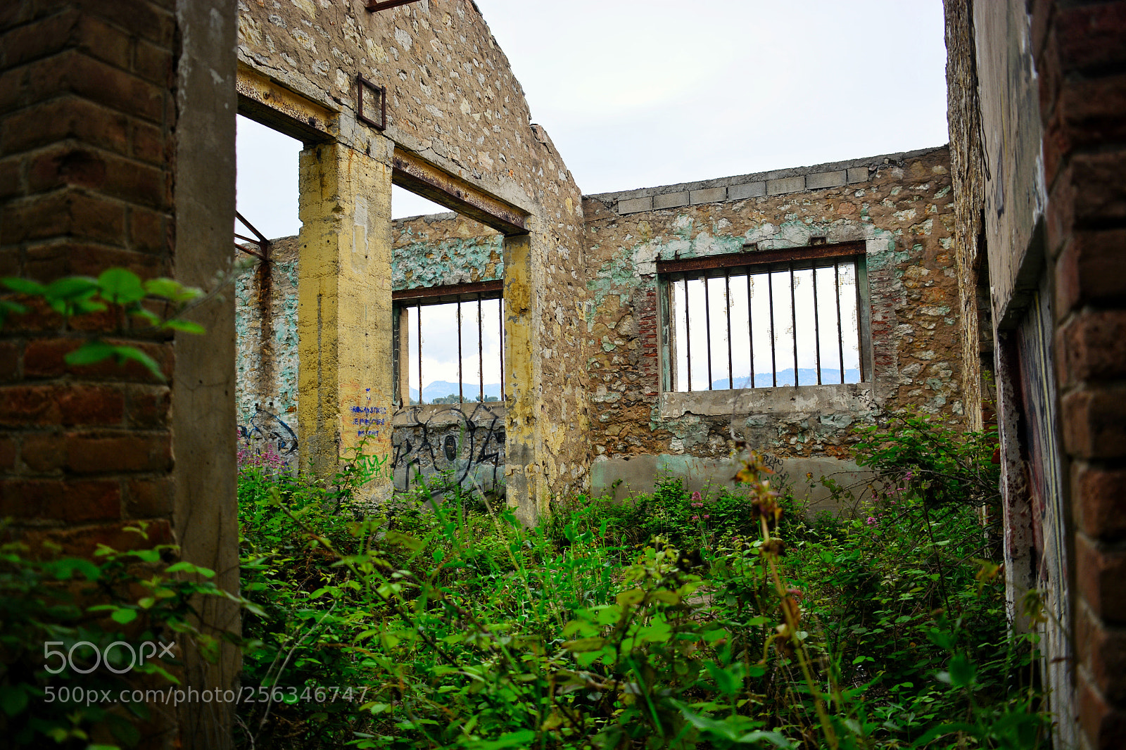 Nikon D5200 sample photo. Untitled photography
