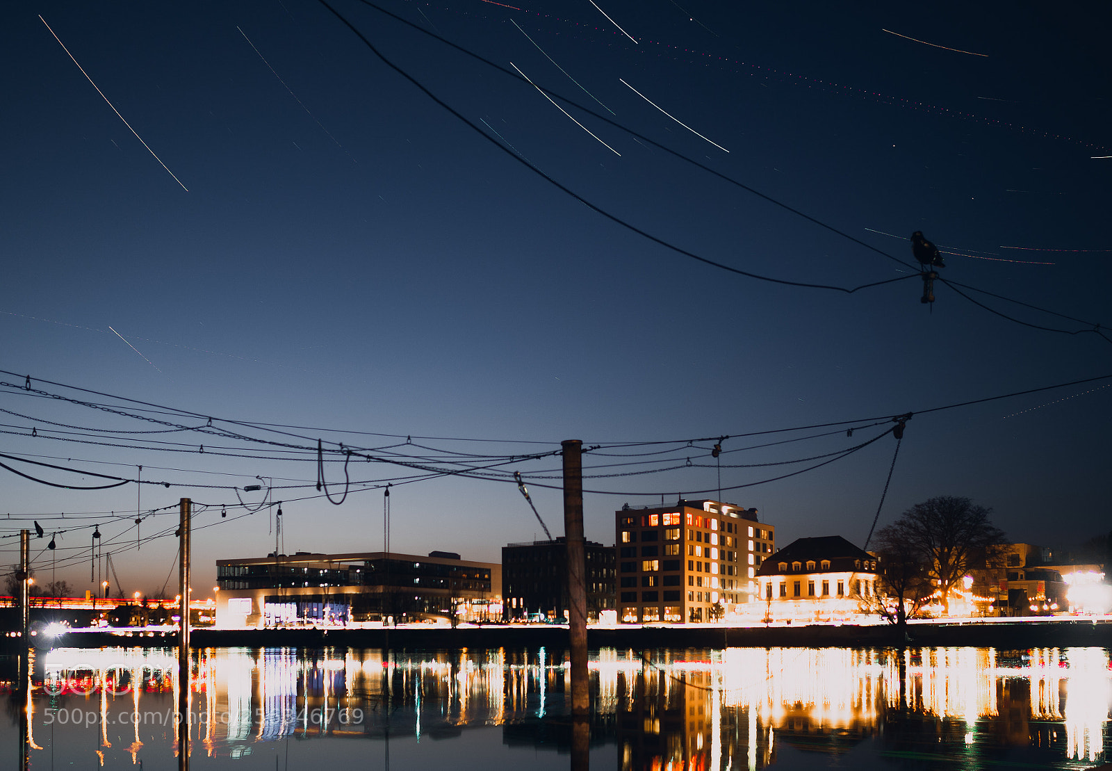 Olympus OM-D E-M10 III sample photo. Blue hour star trails photography