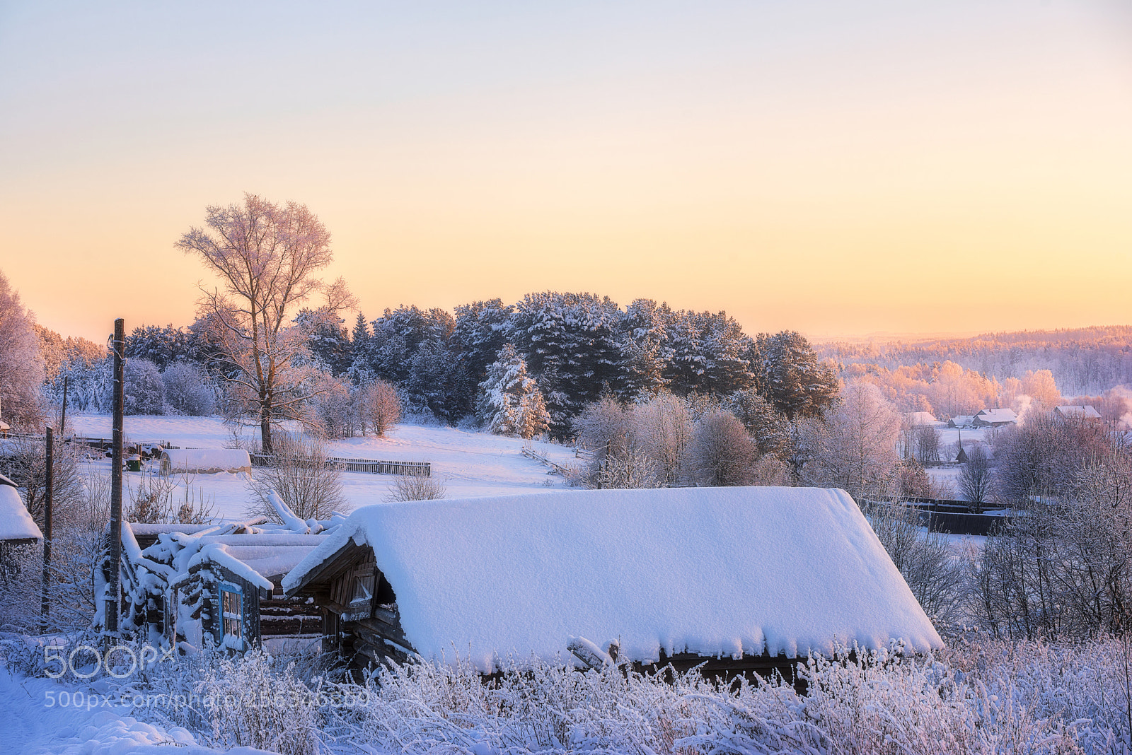 Nikon D610 sample photo. 913. winter in the photography