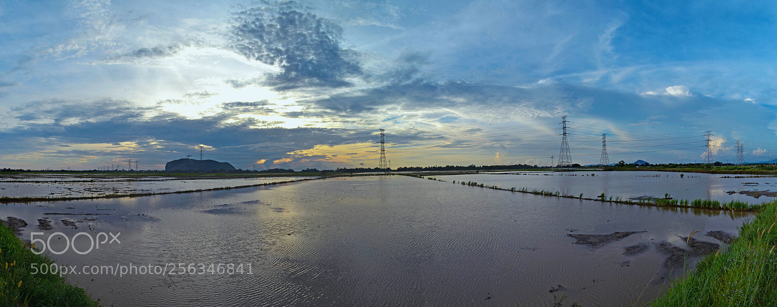 Nikon D3100 sample photo. Sunset over paddy field photography