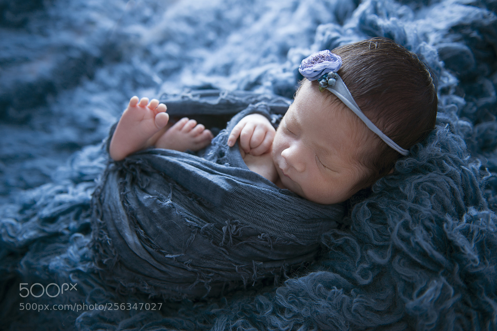 Nikon D800 sample photo. Untitled photography