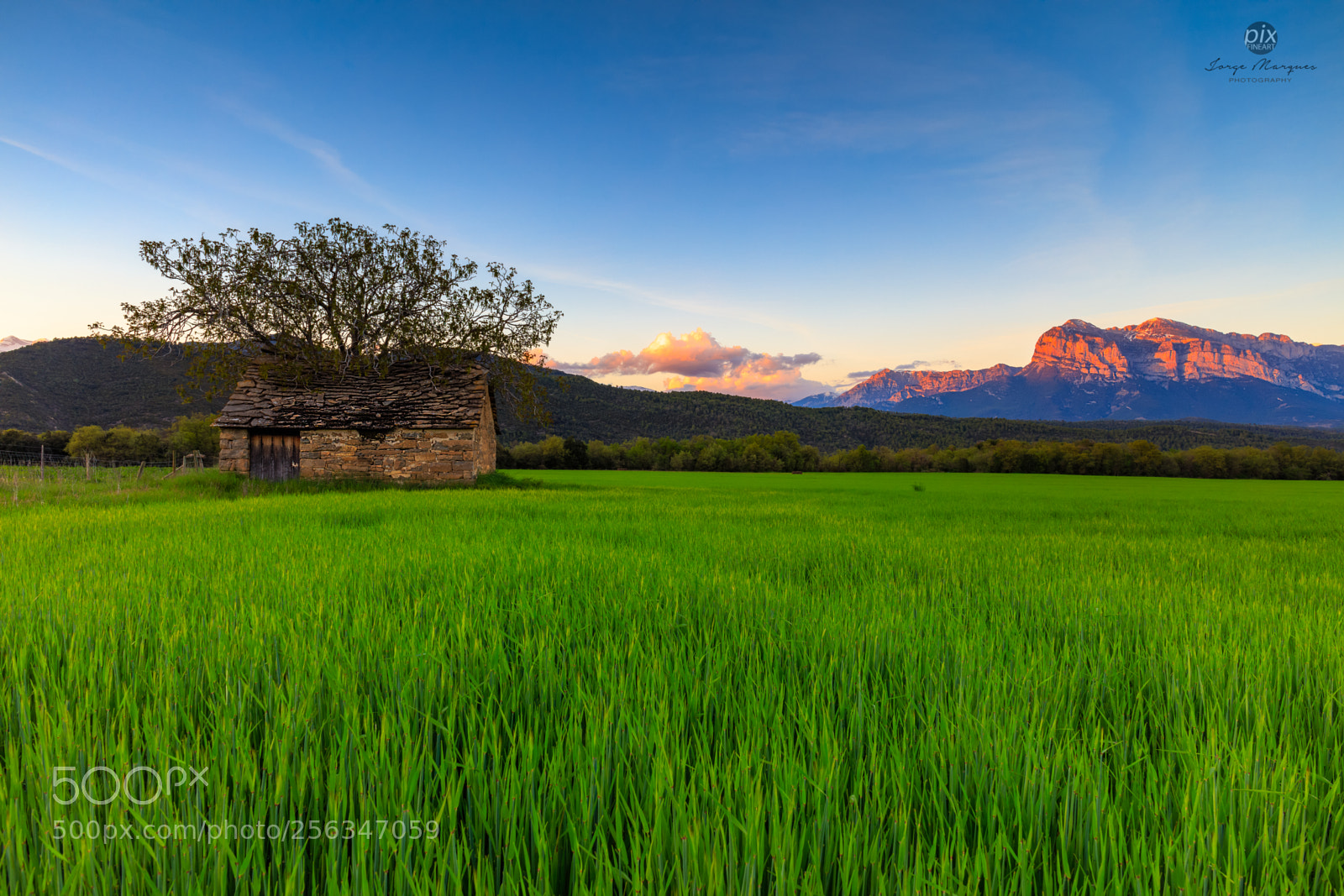 Canon EOS 5DS sample photo. Lan0194 photography