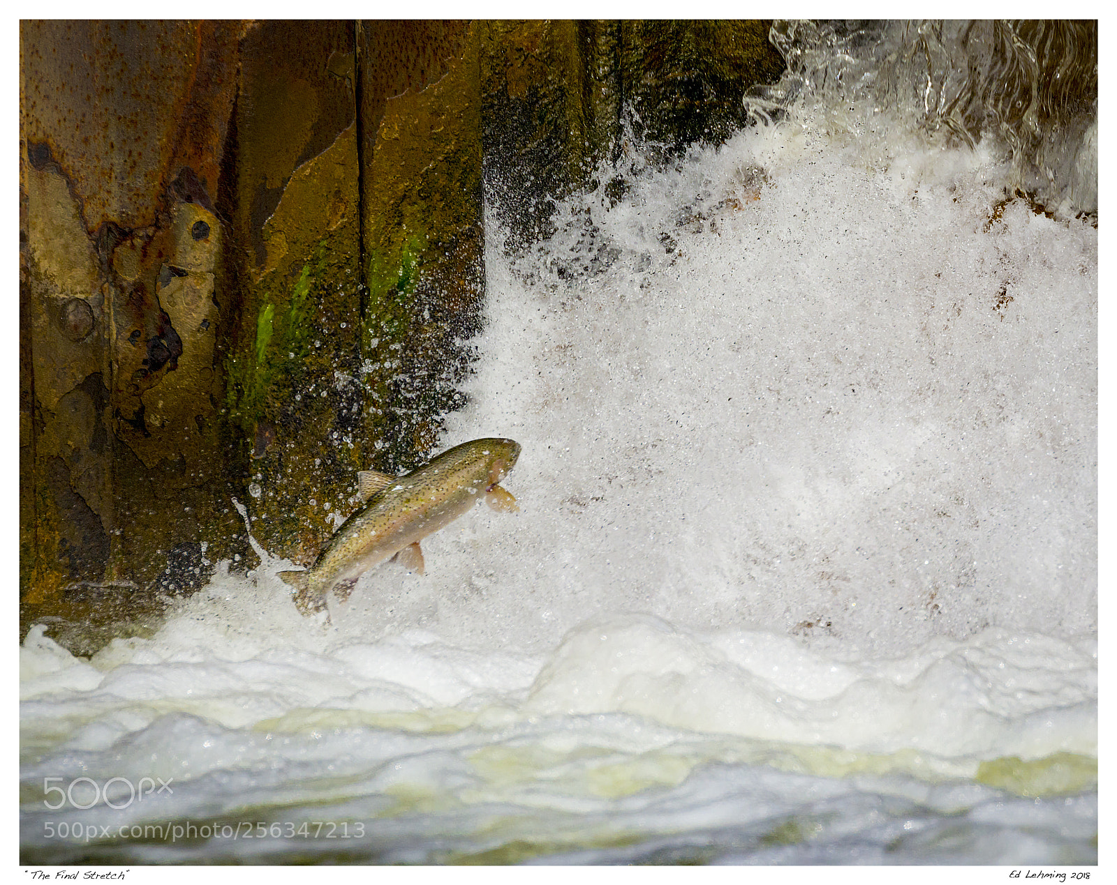 Nikon D800 sample photo. The final stretch photography