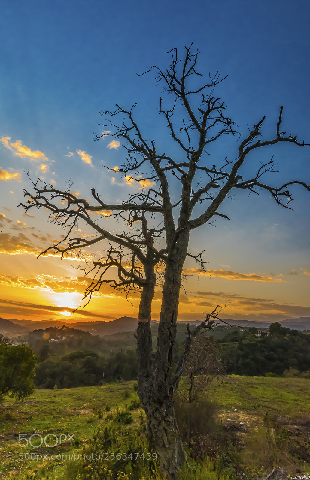 Nikon D5500 sample photo. Sunset spirit photography