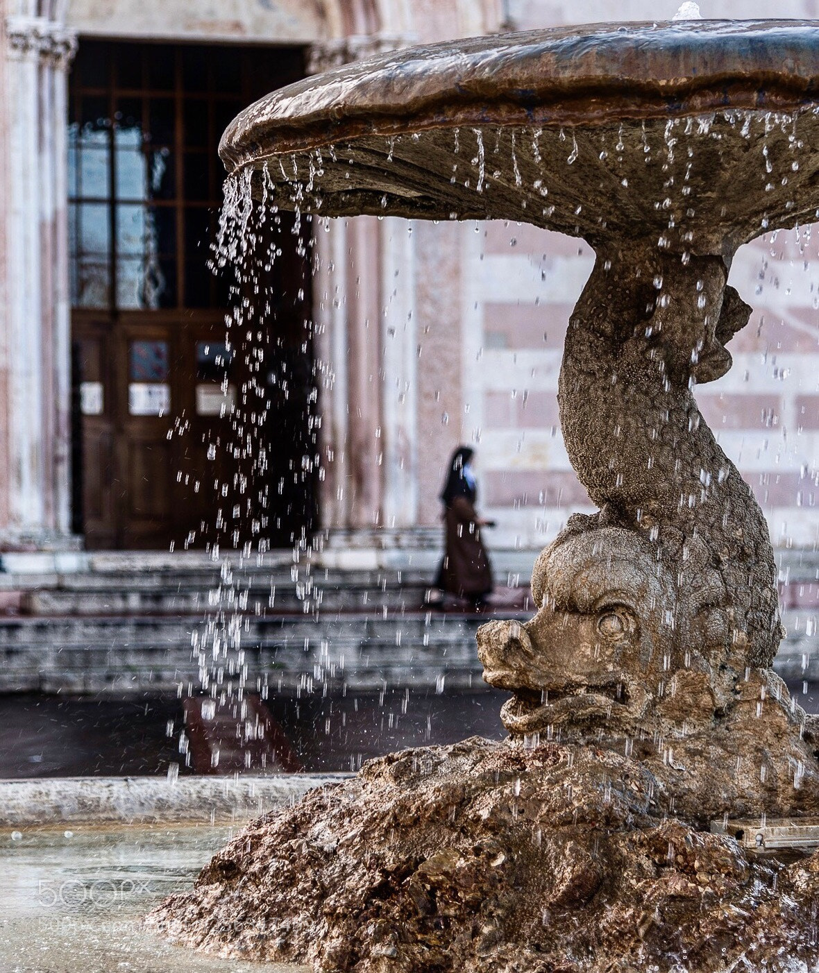 Nikon D750 sample photo. Untitled photography