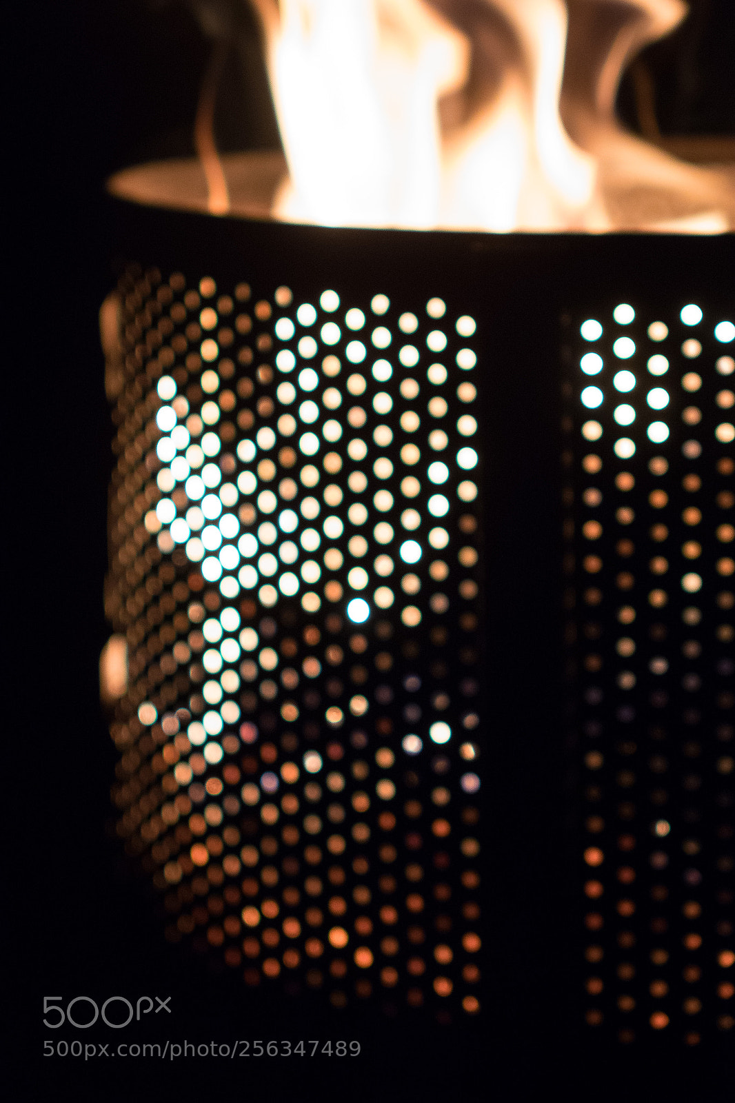 Sony Cyber-shot DSC-RX10 sample photo. Day 223 photography