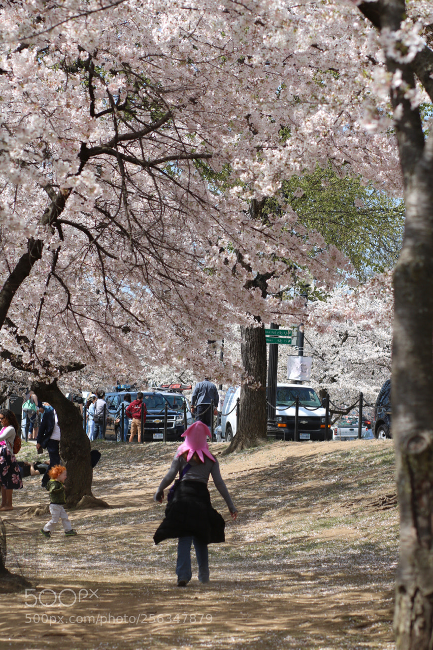 Canon EOS 750D (EOS Rebel T6i / EOS Kiss X8i) sample photo. April joy photography
