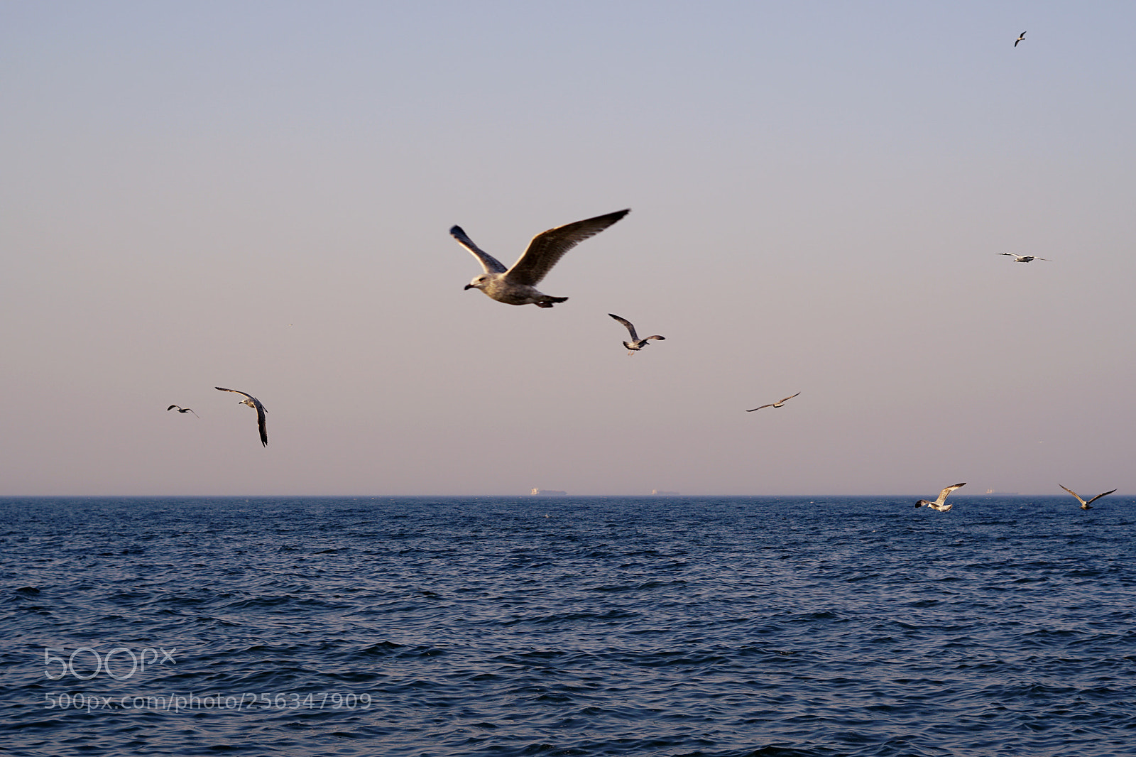 Sony a6300 sample photo. ~~ photography
