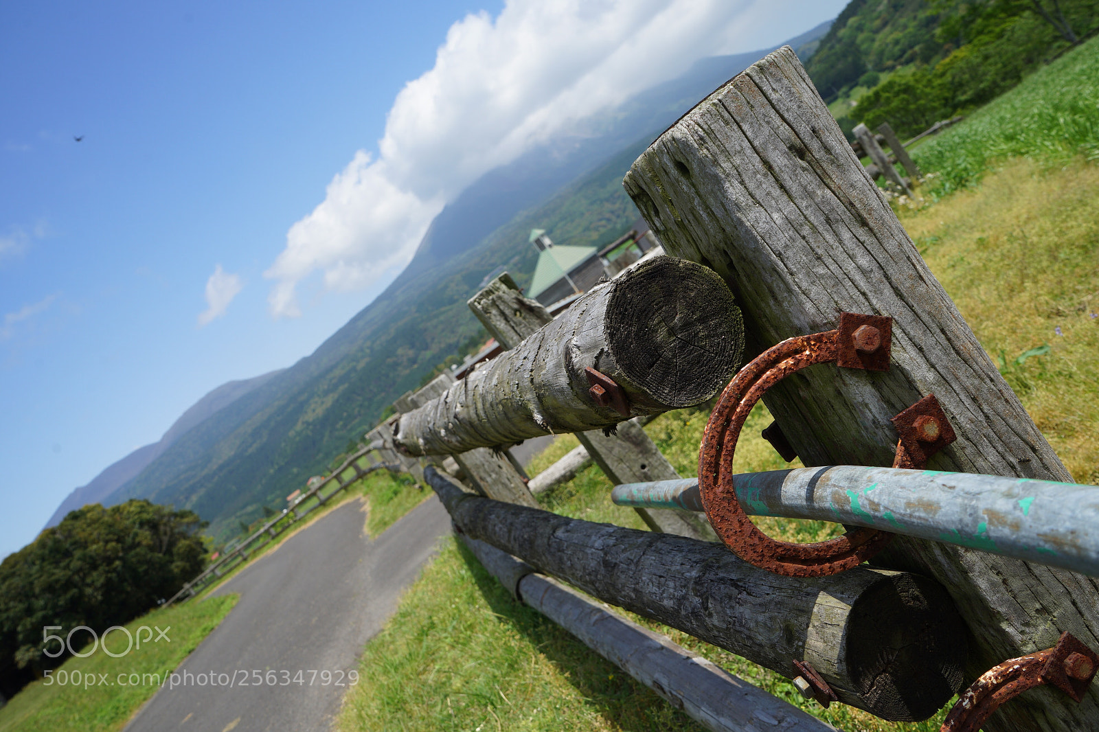Sony a7 II sample photo. Untitled photography