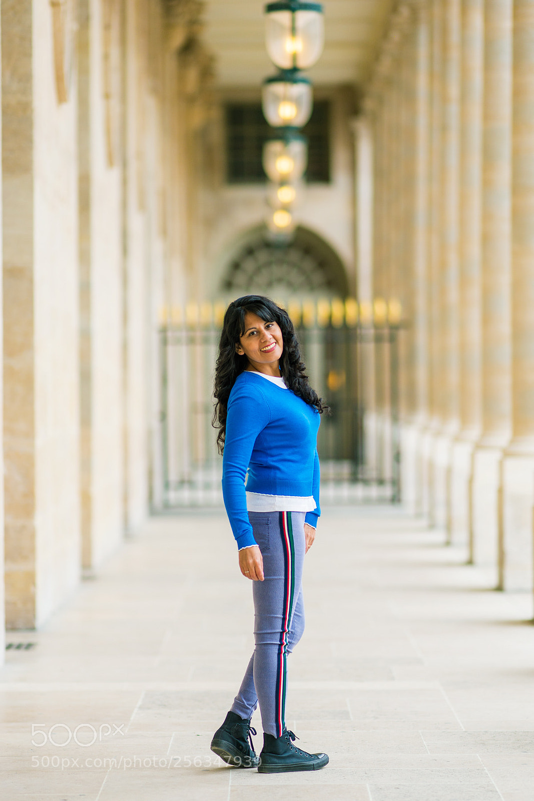 Sony SLT-A99V sample photo. Le palais royal photography